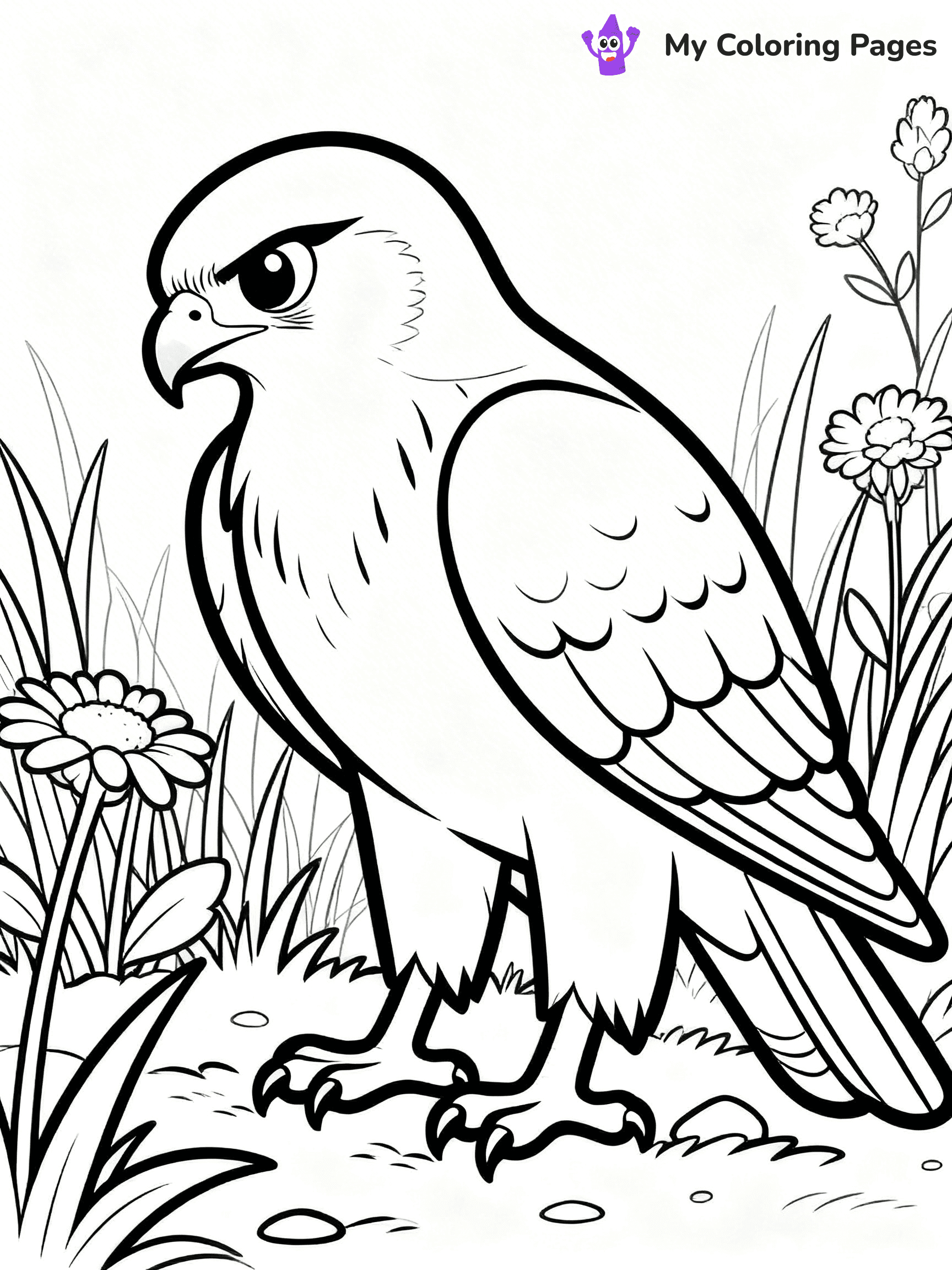 Hawk Coloring Pages - 5