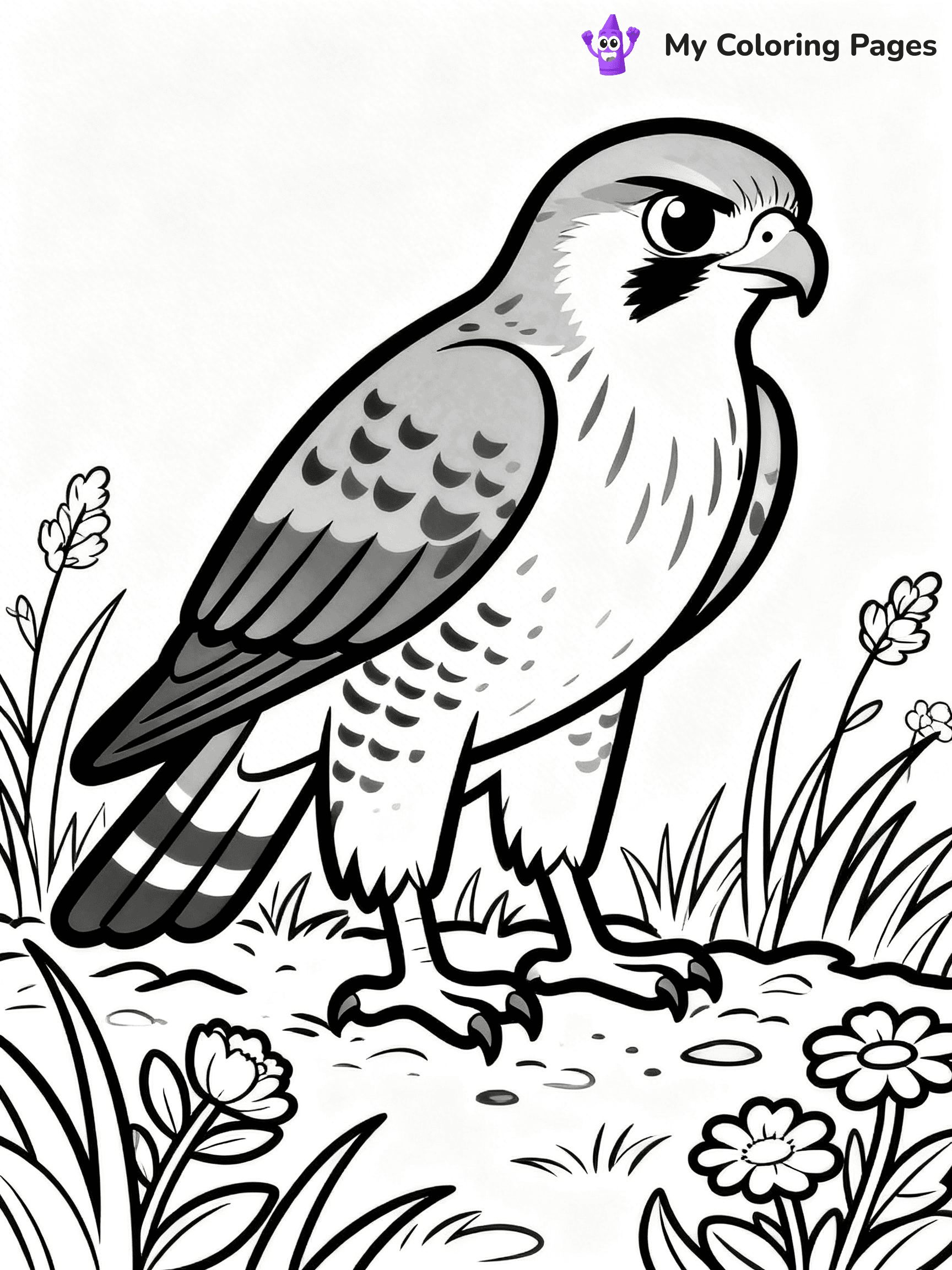 Hawk Coloring Pages - 4
