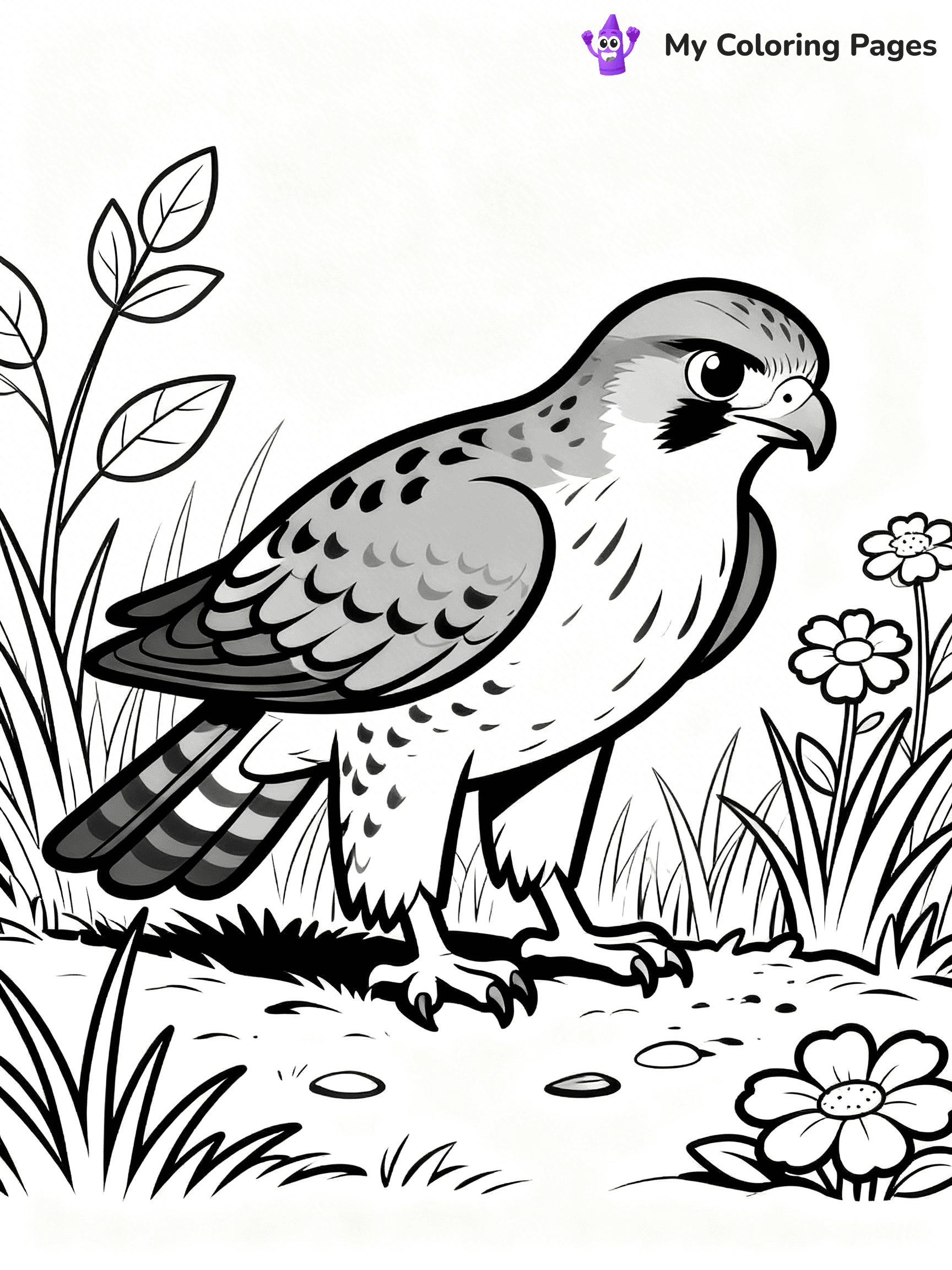 Hawk Coloring Pages - 3