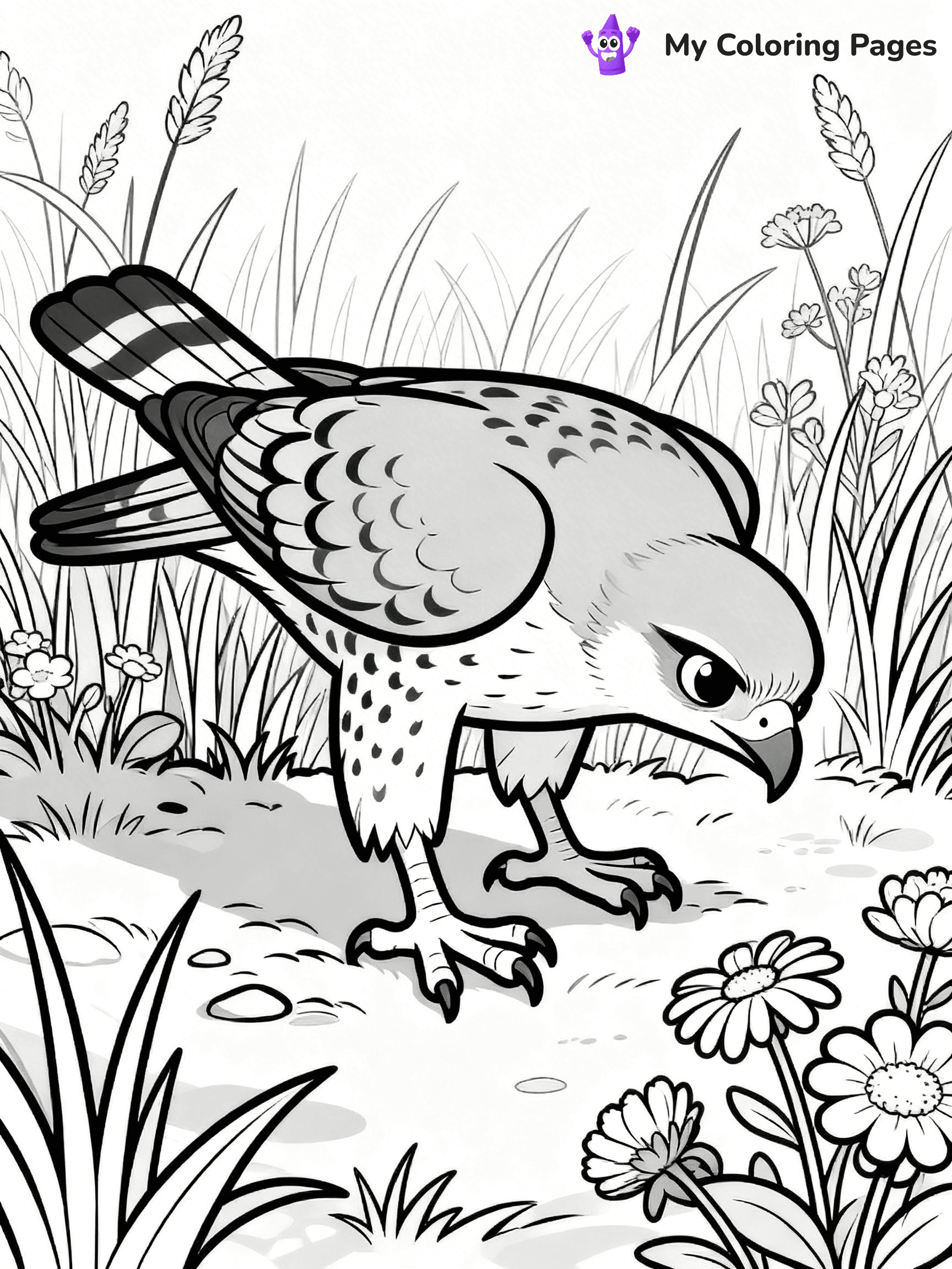 Hawk Coloring Pages - 2