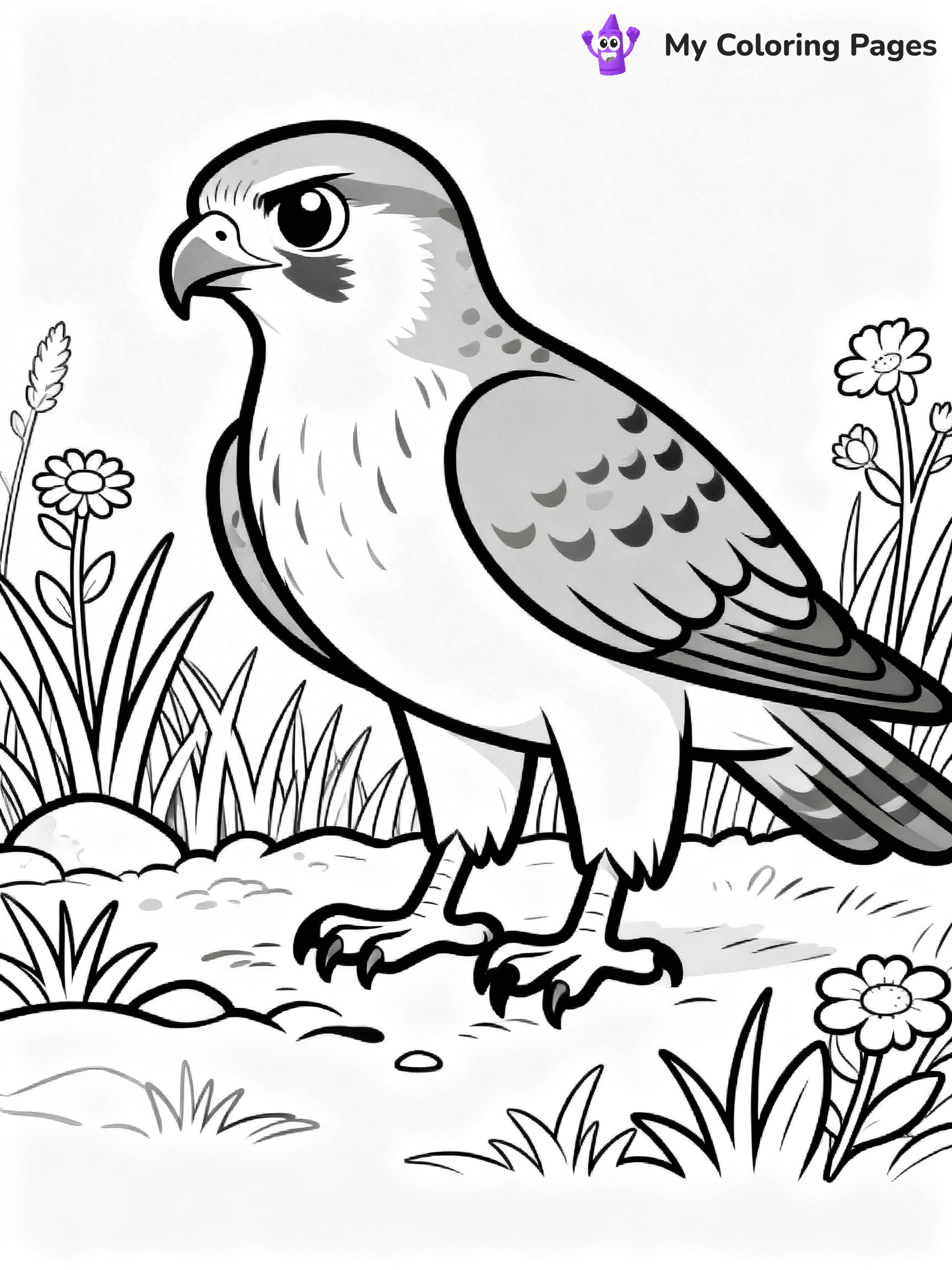 Hawk Coloring Pages - 1