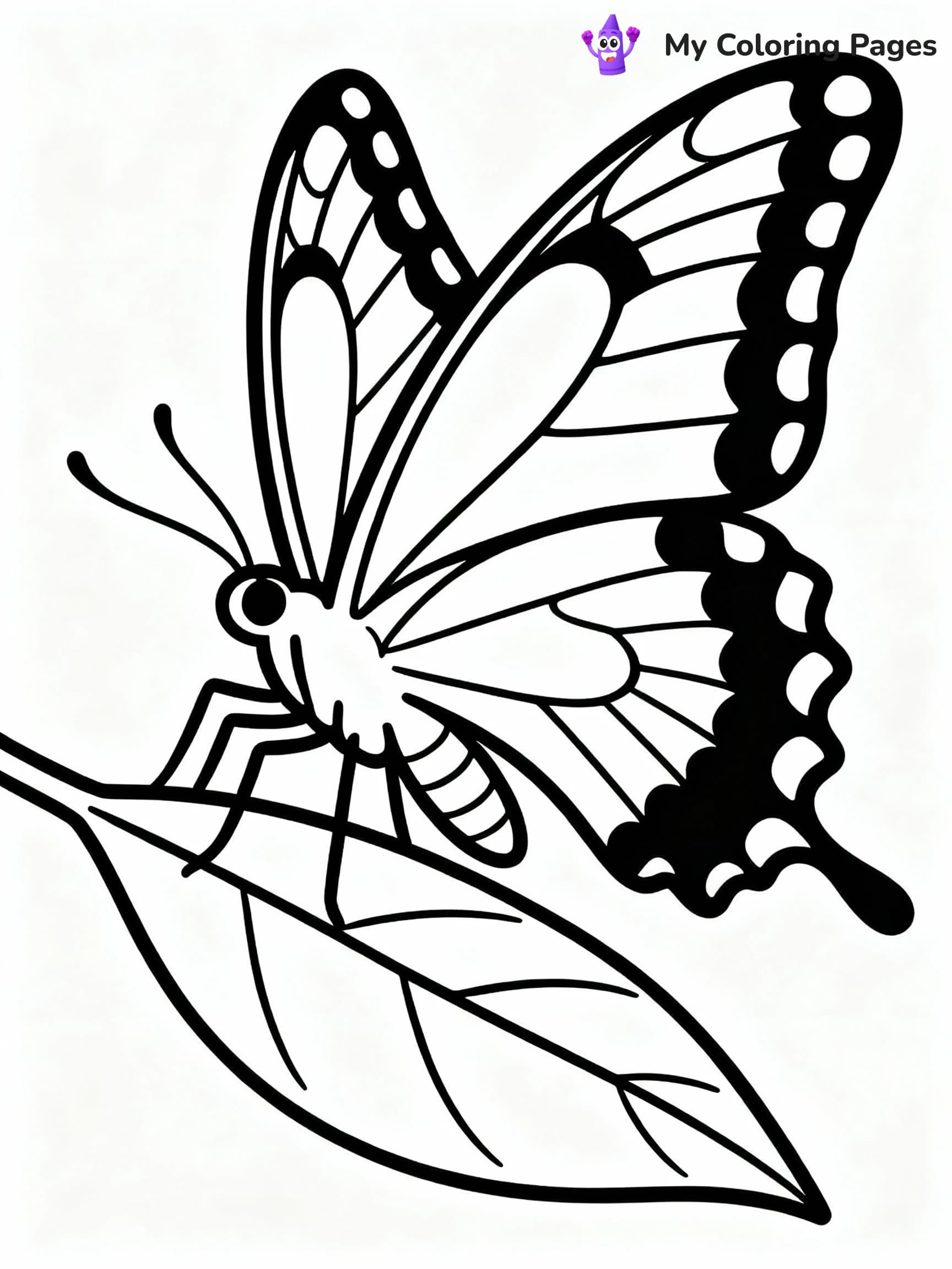 Butterfly Coloring Pages - 14