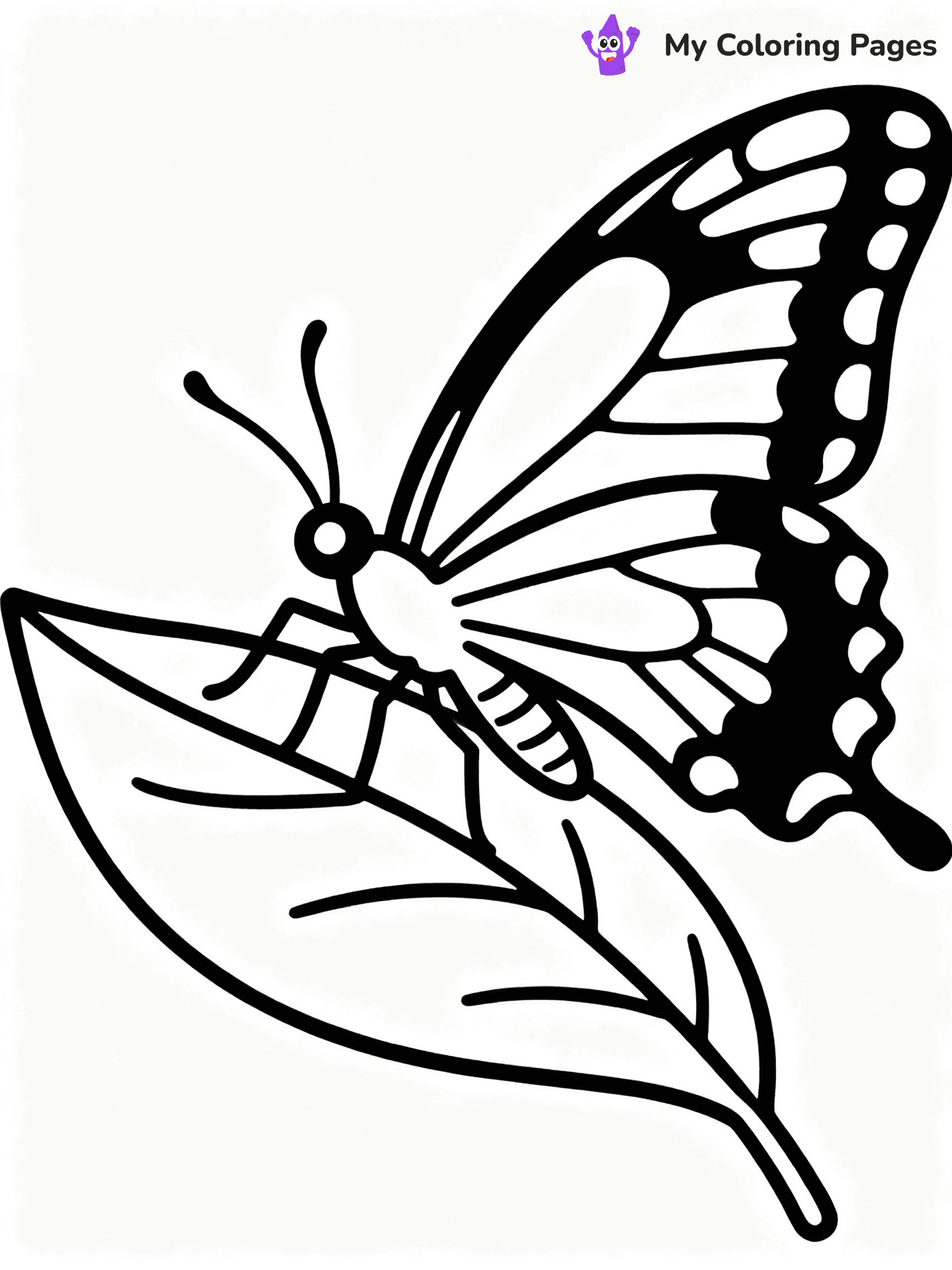 Butterfly Coloring Pages - 12