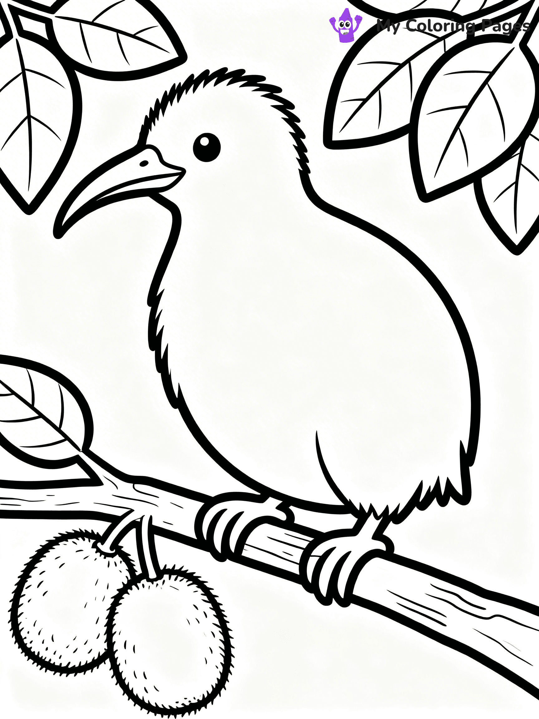 Kiwi Bird Coloring Pages - 51