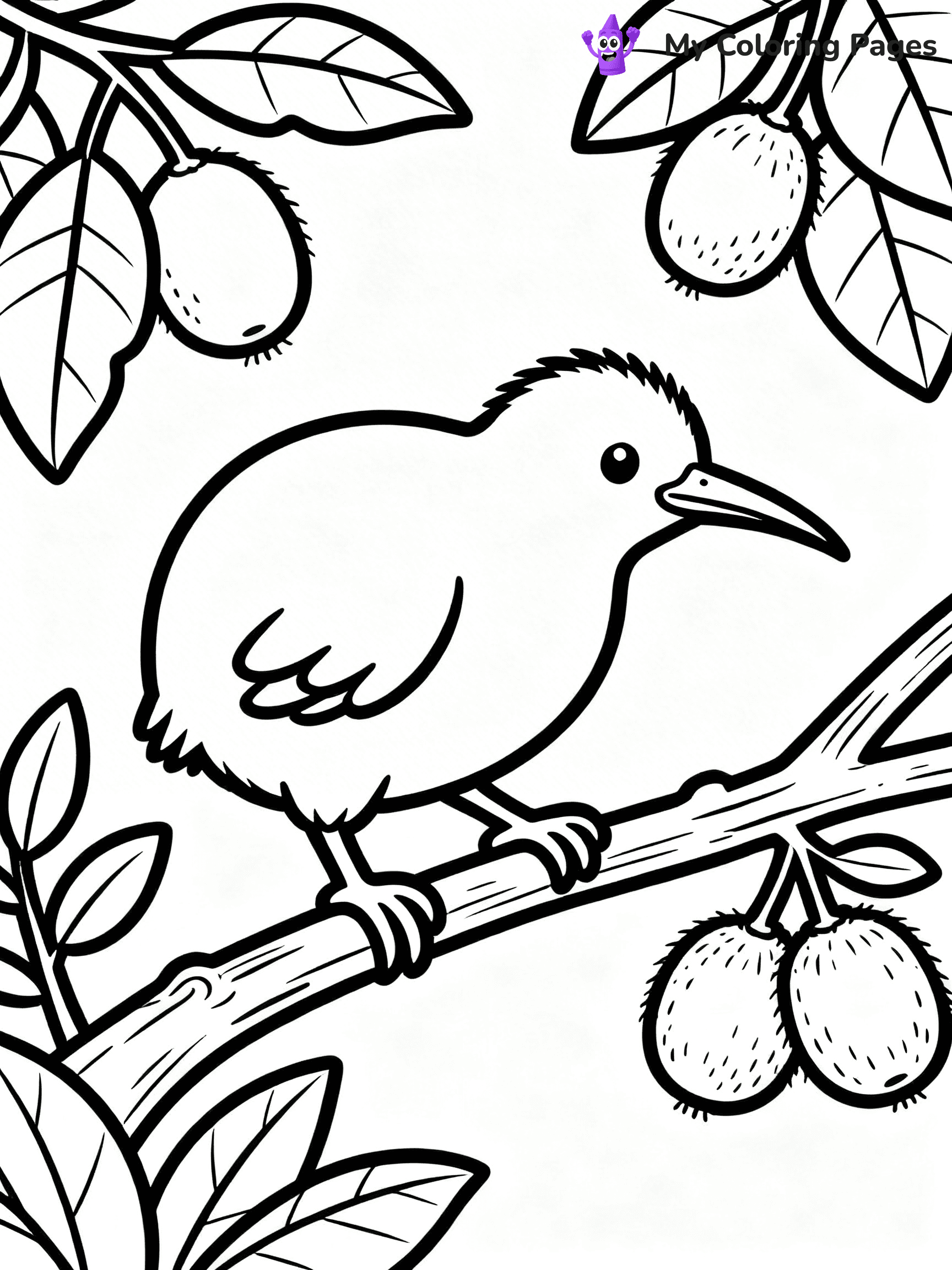 Kiwi Bird Coloring Pages - 50