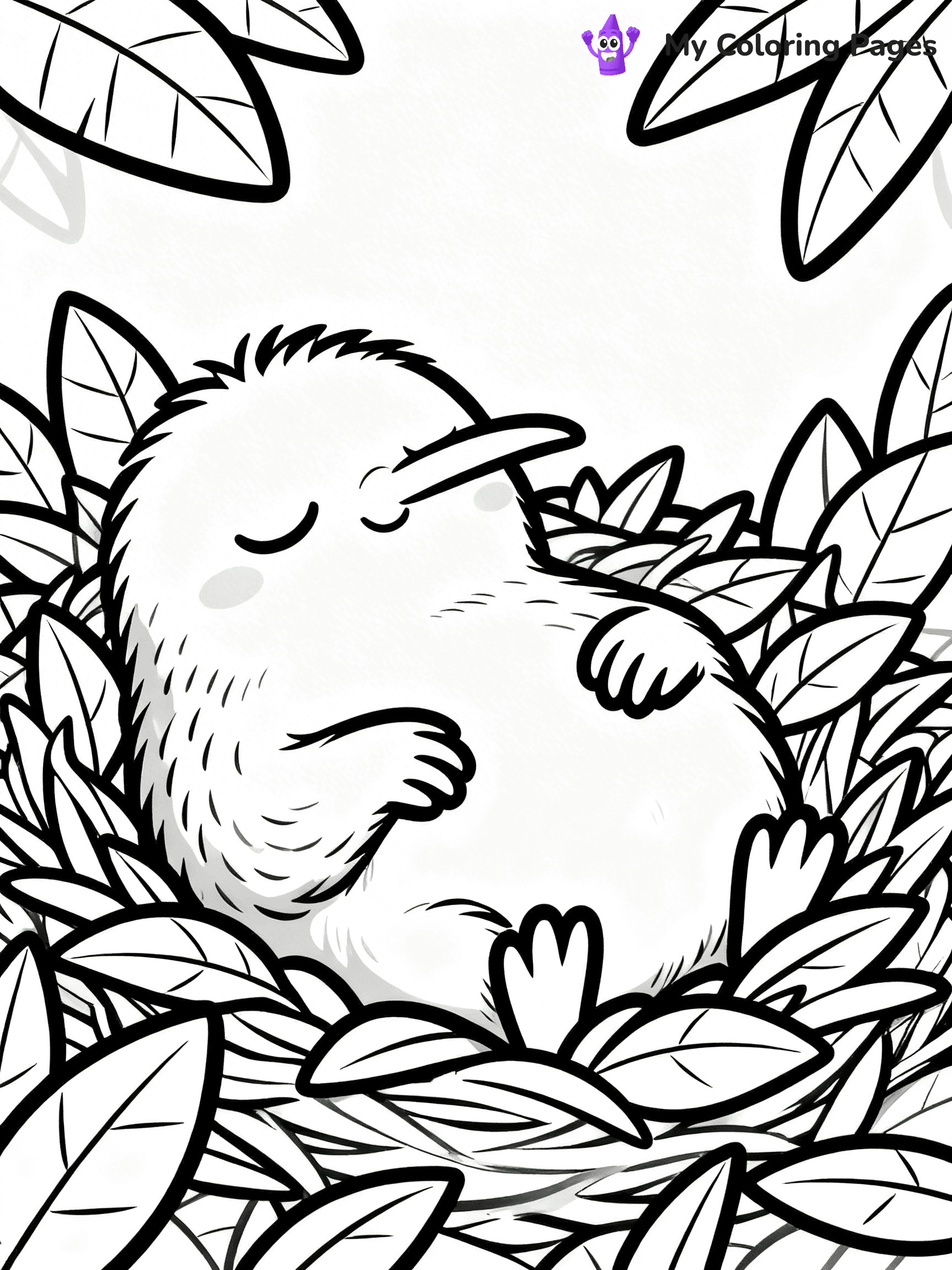 Kiwi Bird Coloring Pages - 35