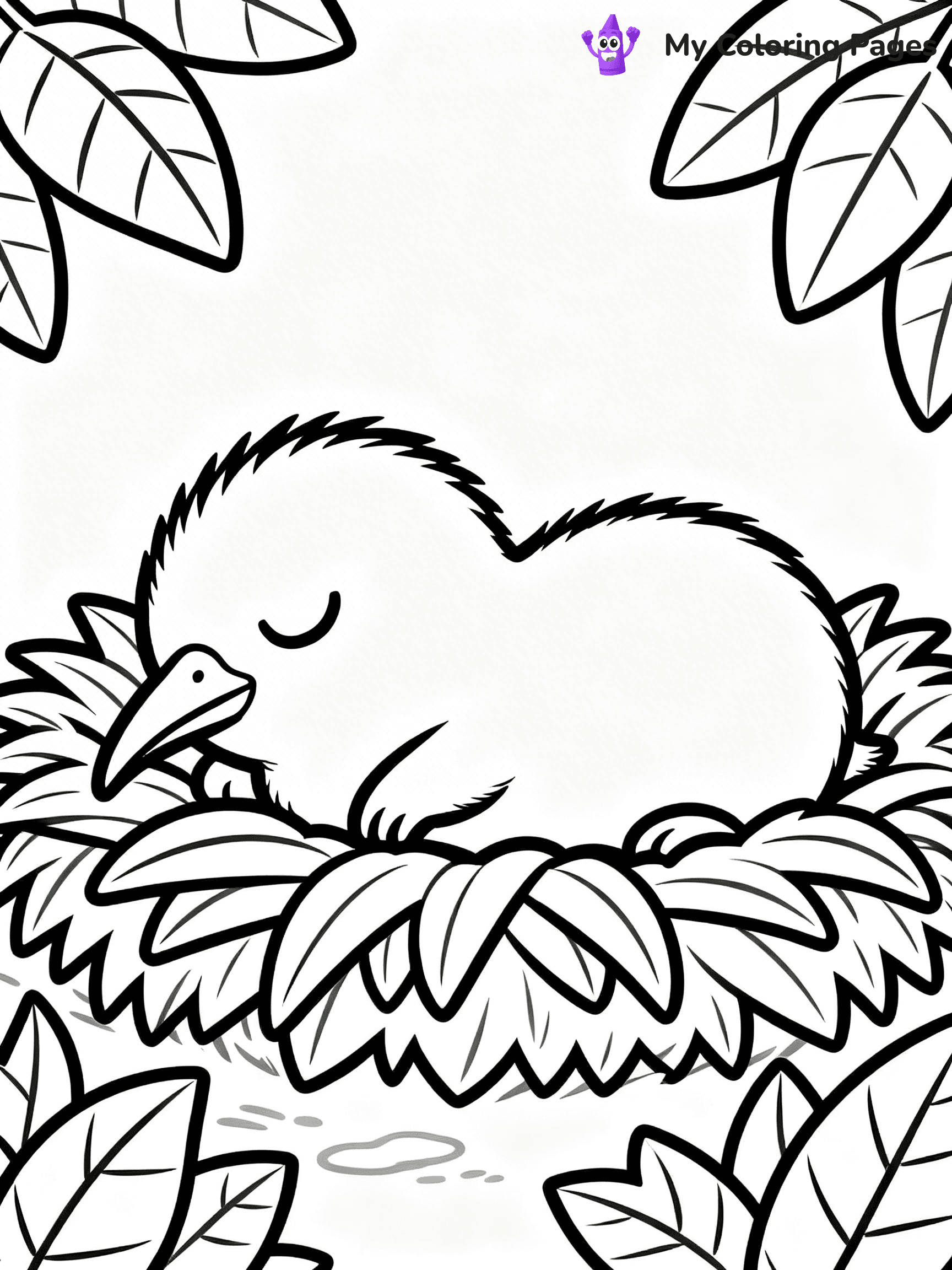 Kiwi Bird Coloring Pages - 34