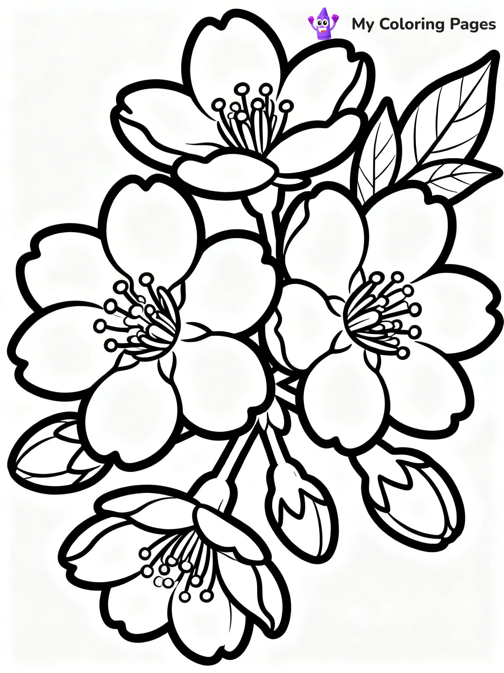 Cherry Blossom Coloring Pages - 6