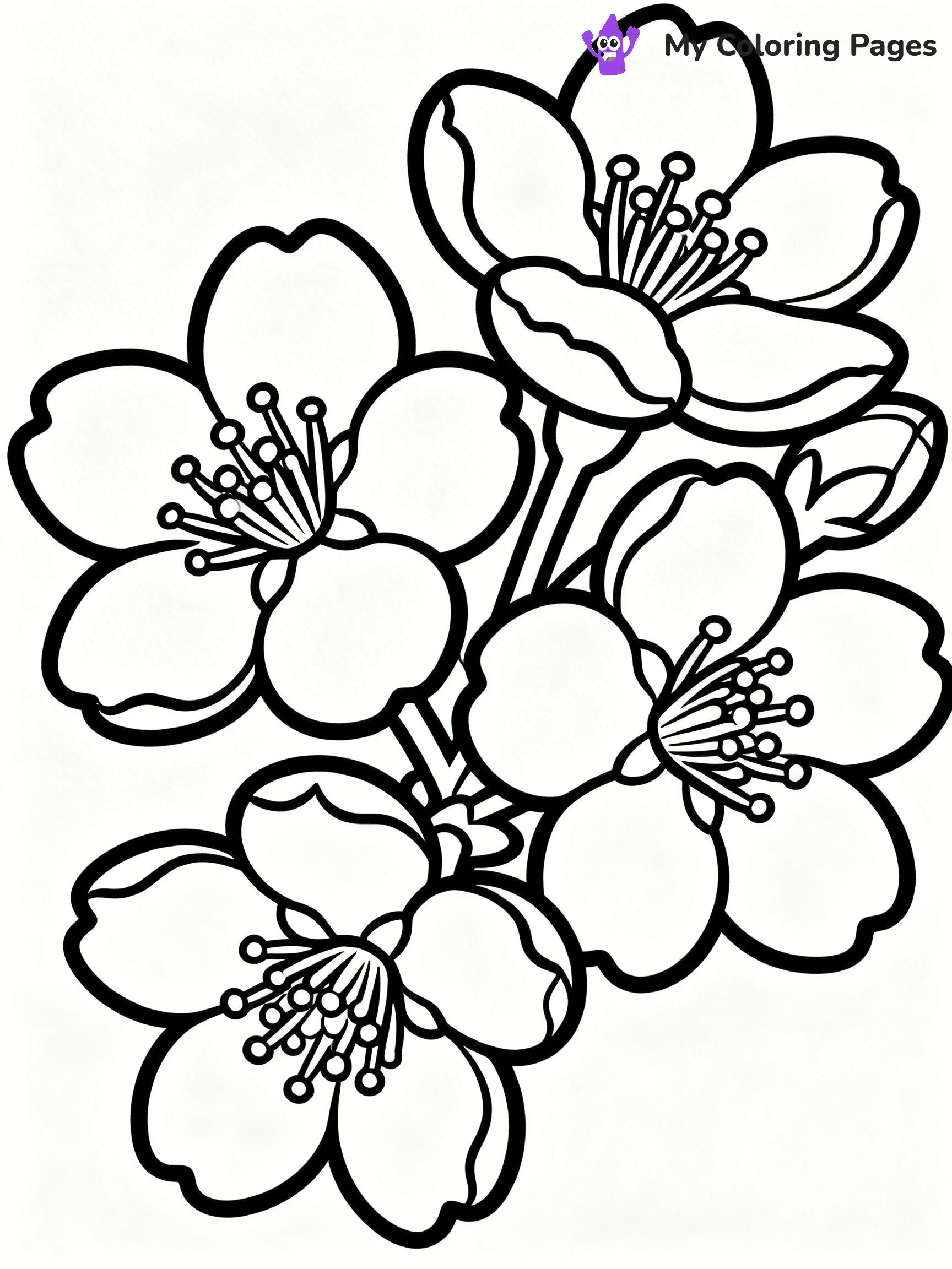 Cherry Blossom Coloring Pages - 4
