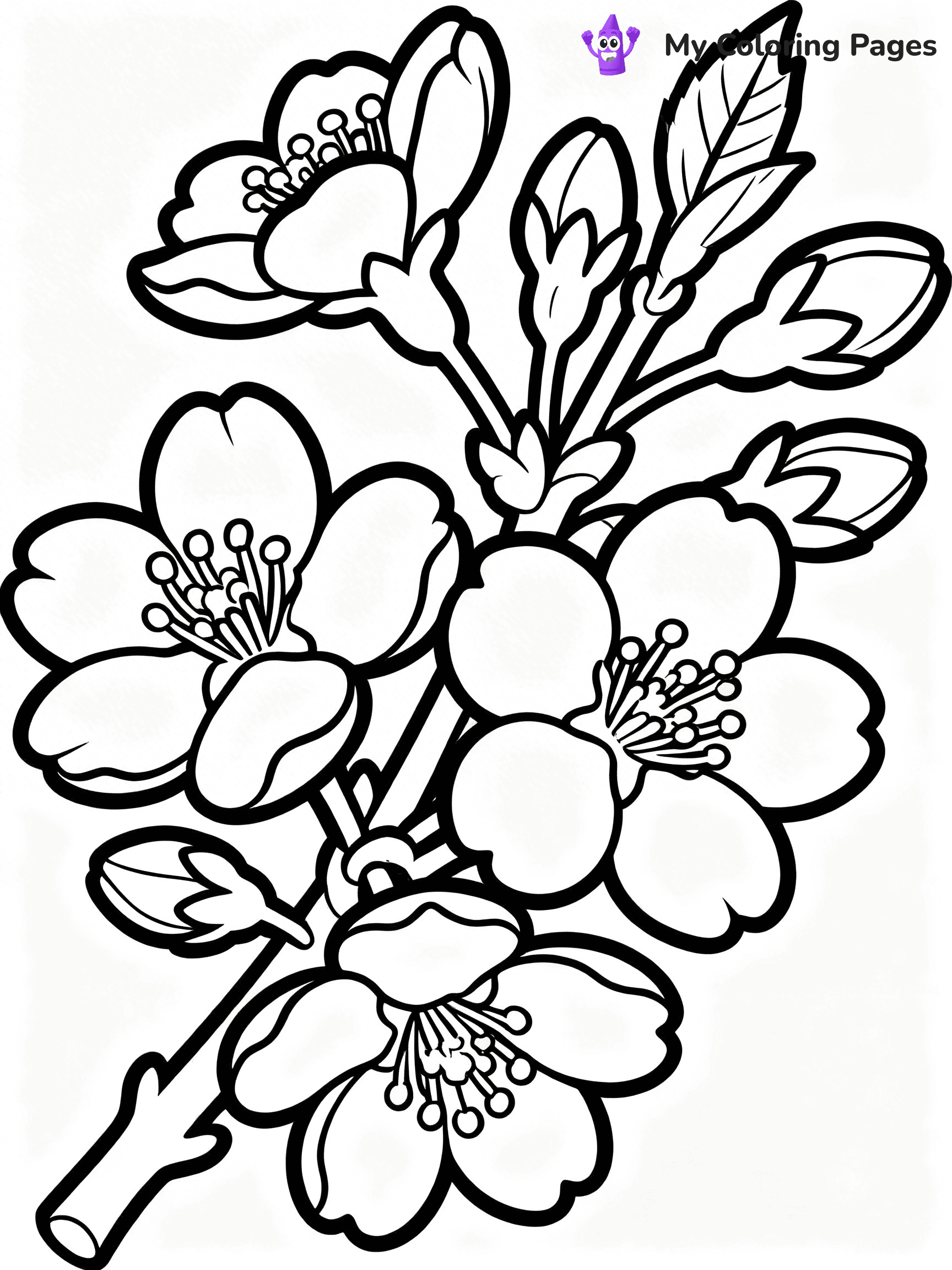Cherry Blossom Coloring Pages - 3