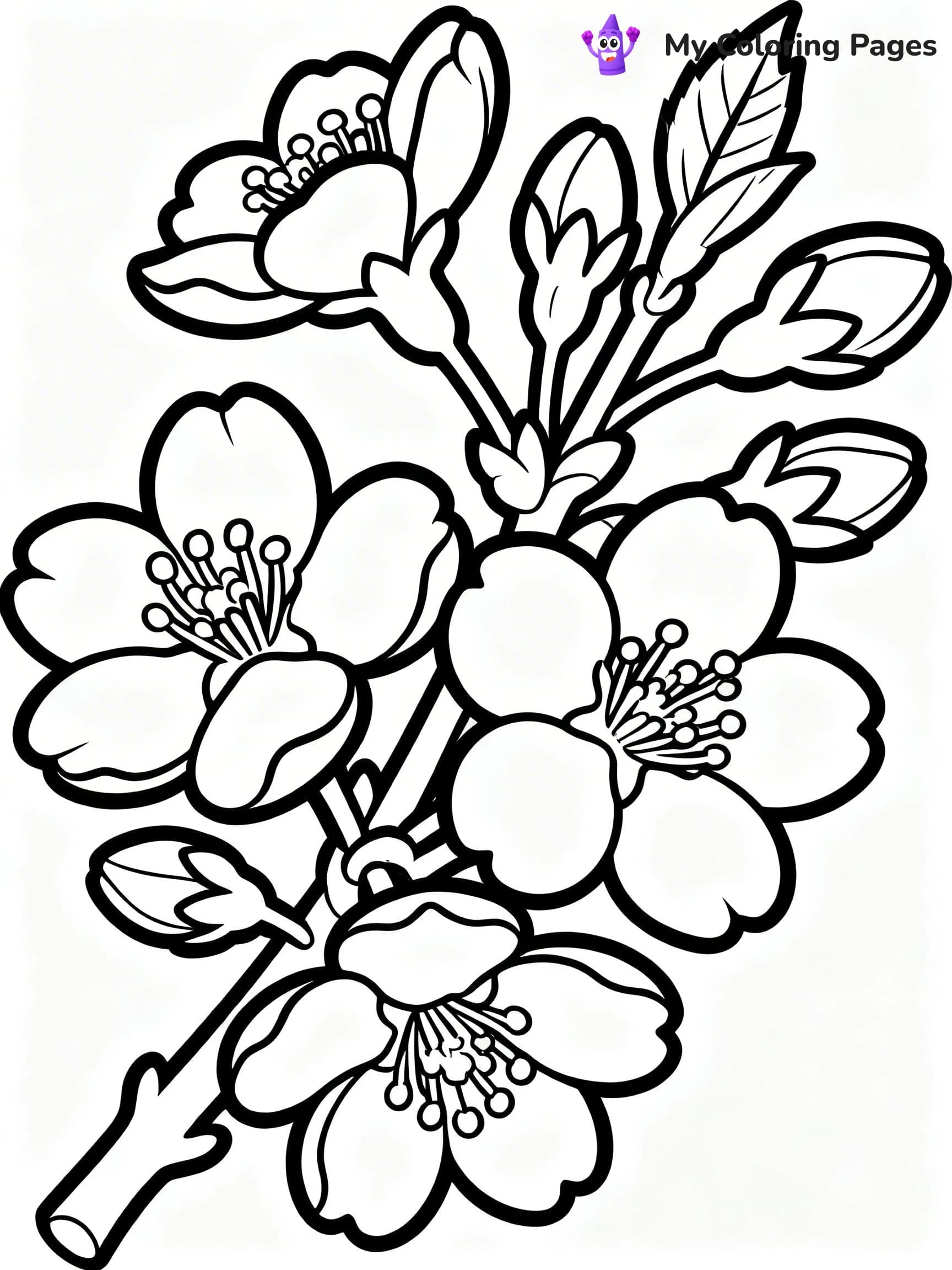 Cherry Blossom Coloring Pages - 3