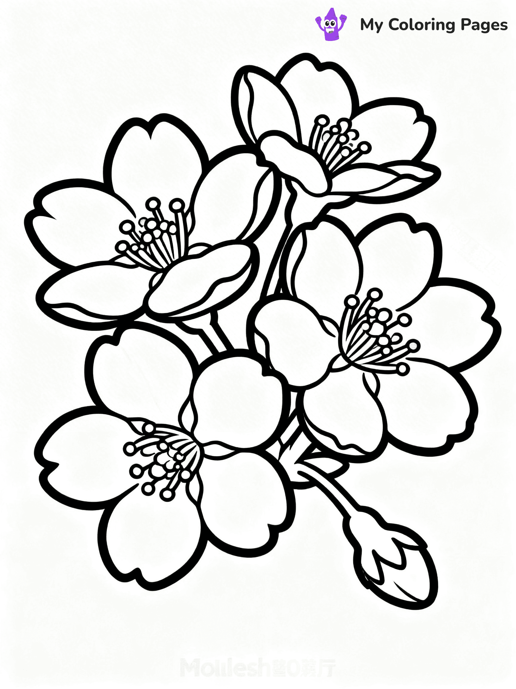 Cherry Blossom Coloring Pages - 2