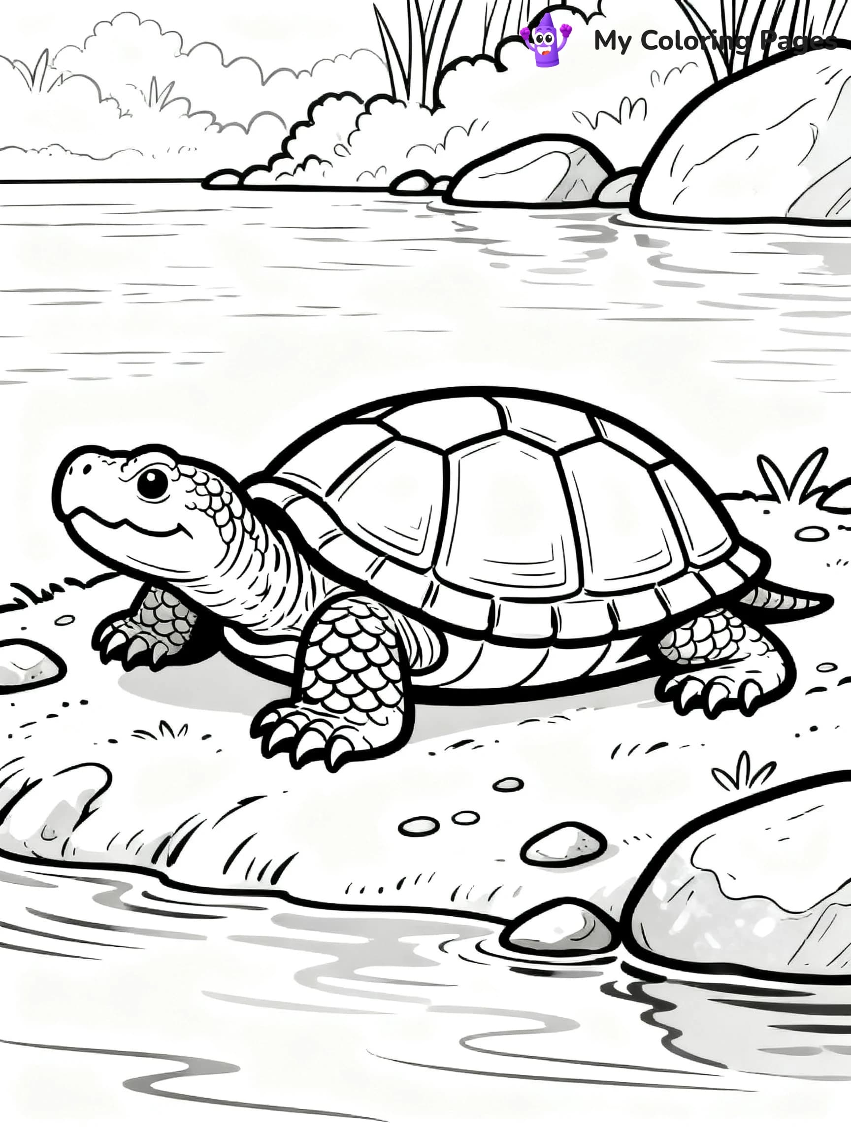 Snapping Turtle Coloring Pages - 18