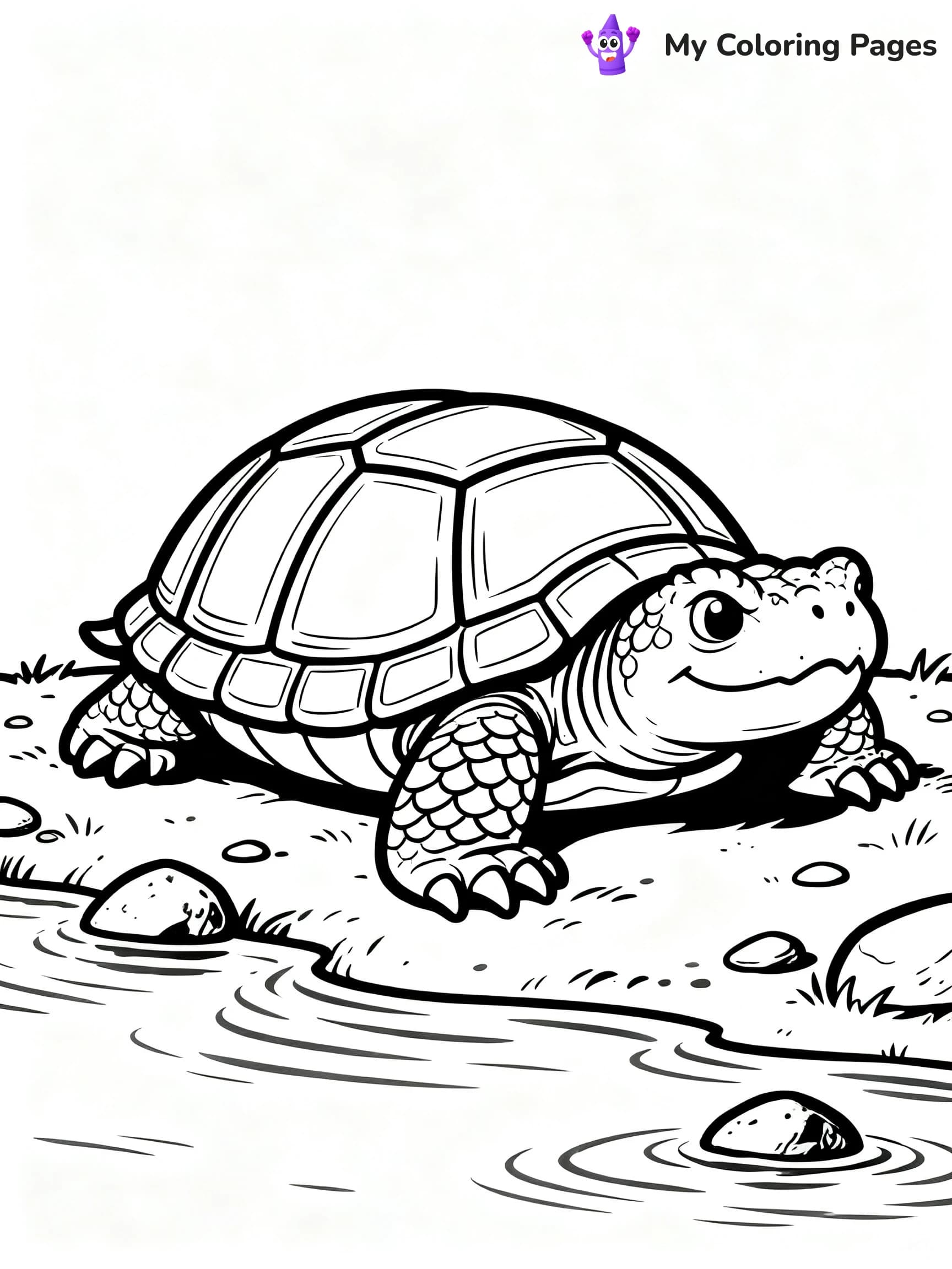 Snapping Turtle Coloring Pages - 16
