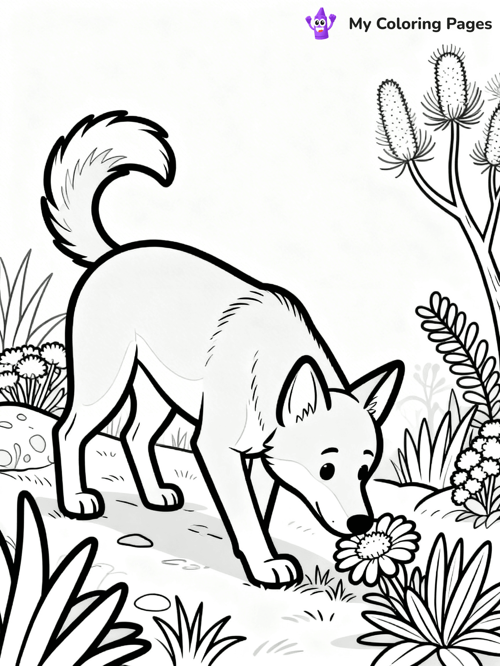 Dingo Coloring Pages - 4