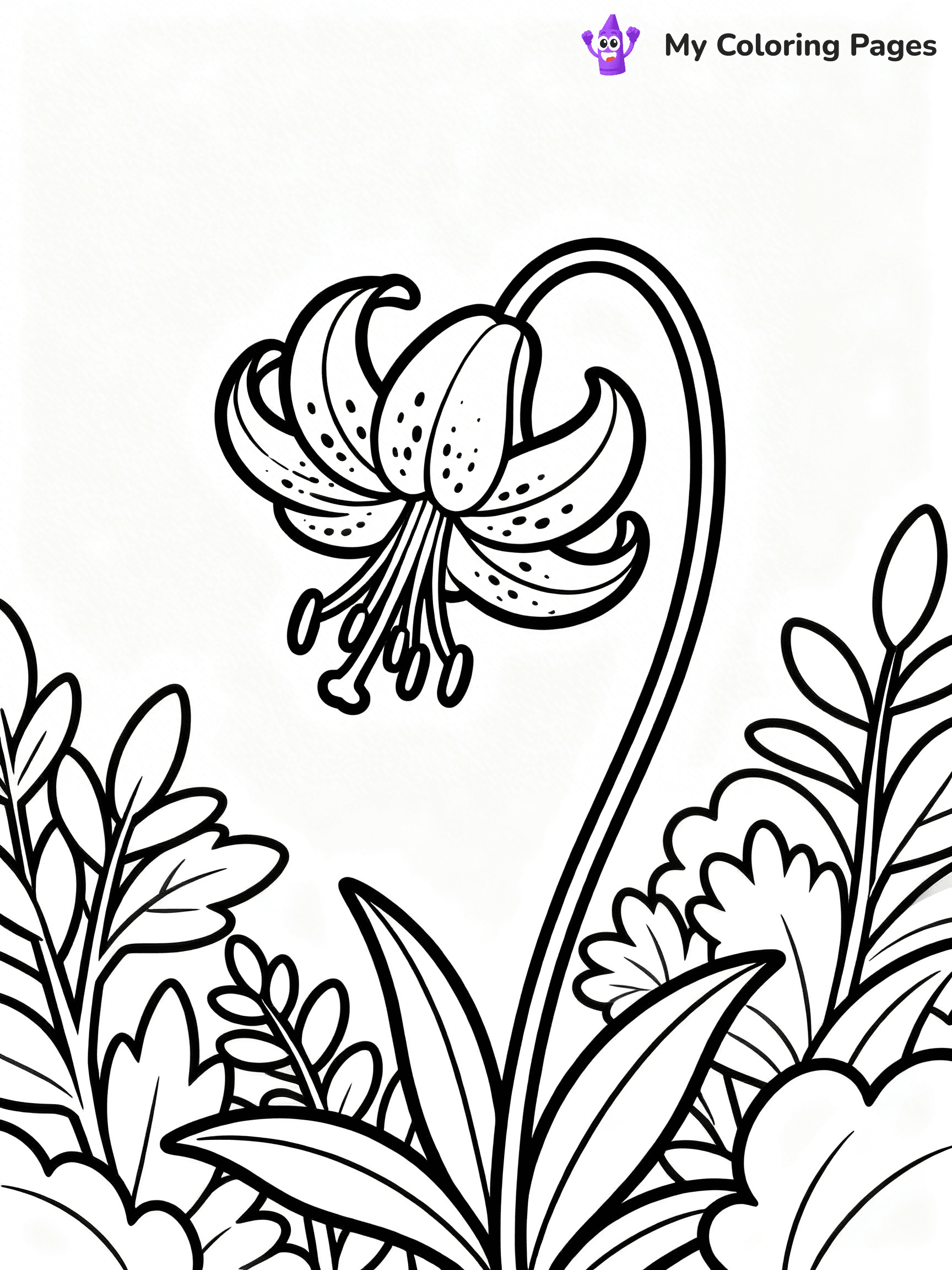 Lilies Coloring Pages - 19