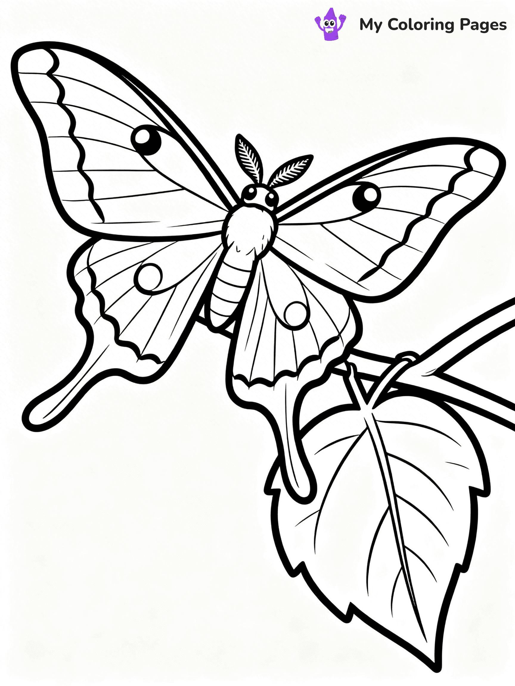 Moth Coloring Pages - 43