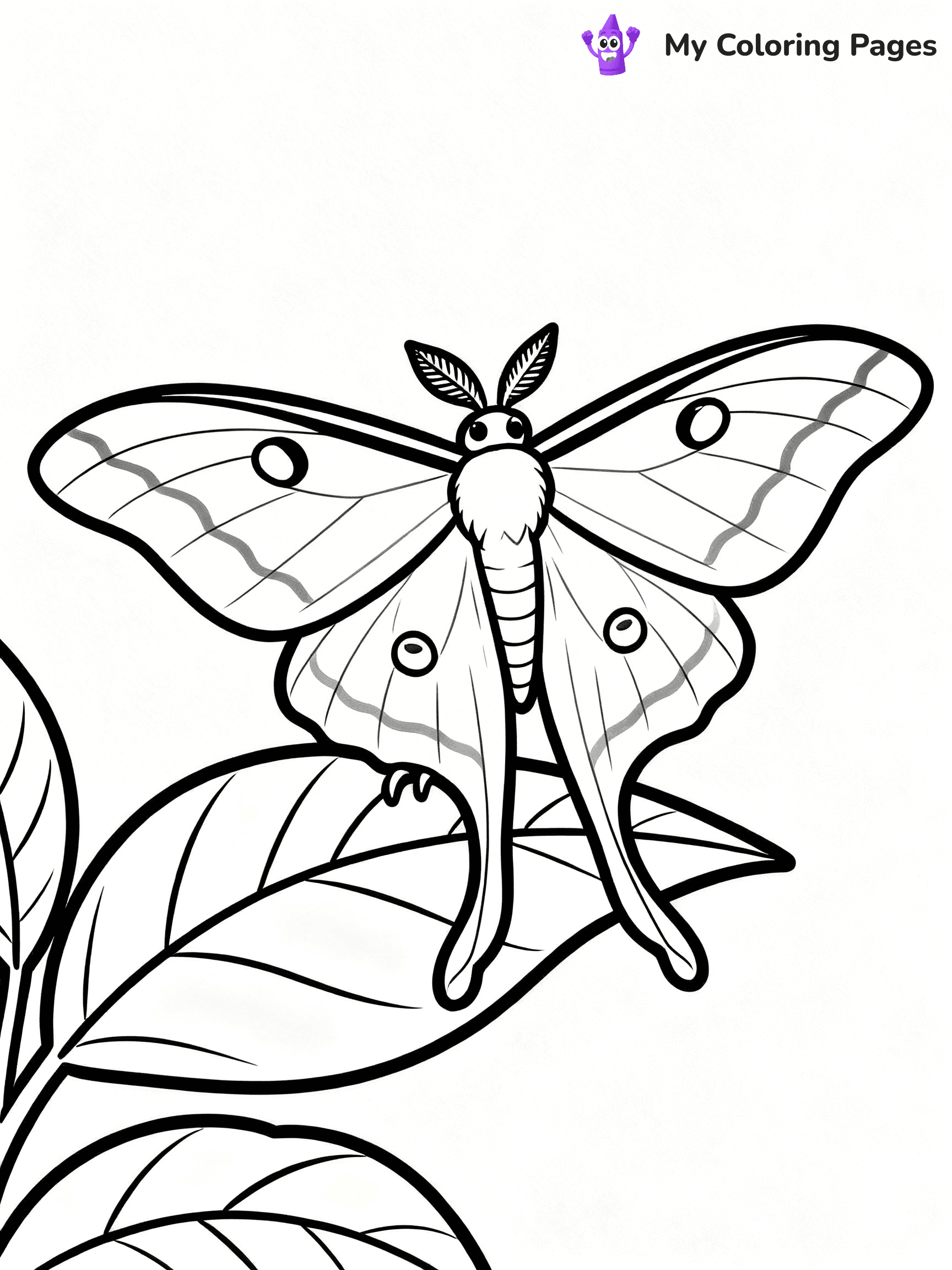 Moth Coloring Pages - 40