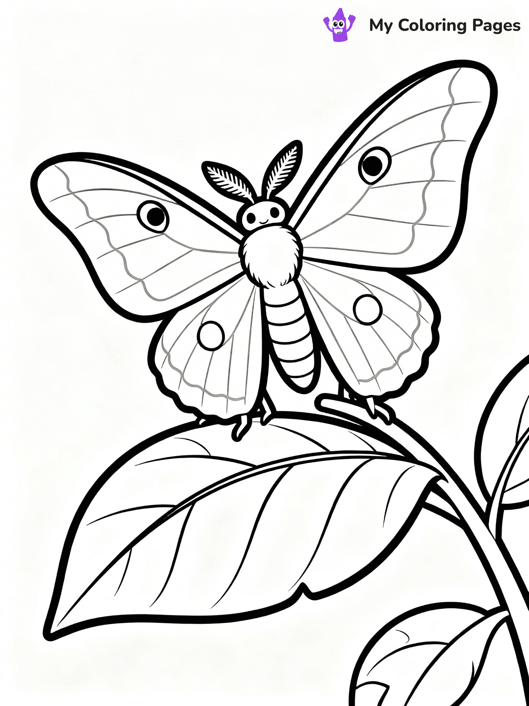 Moth Coloring Pages - 37