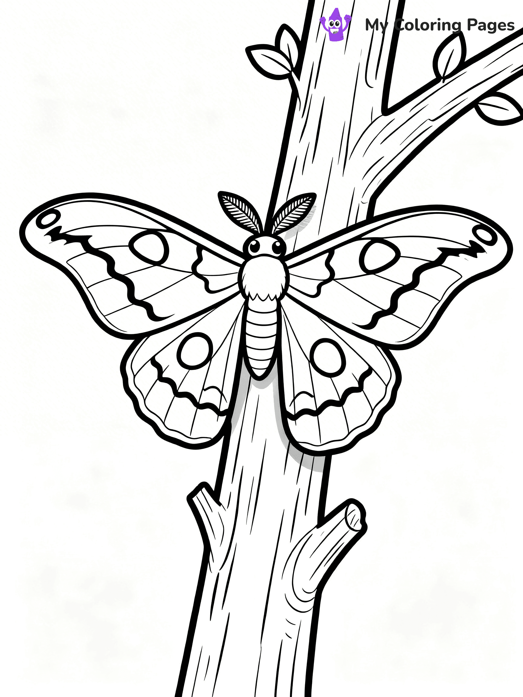 Moth Coloring Pages - 36