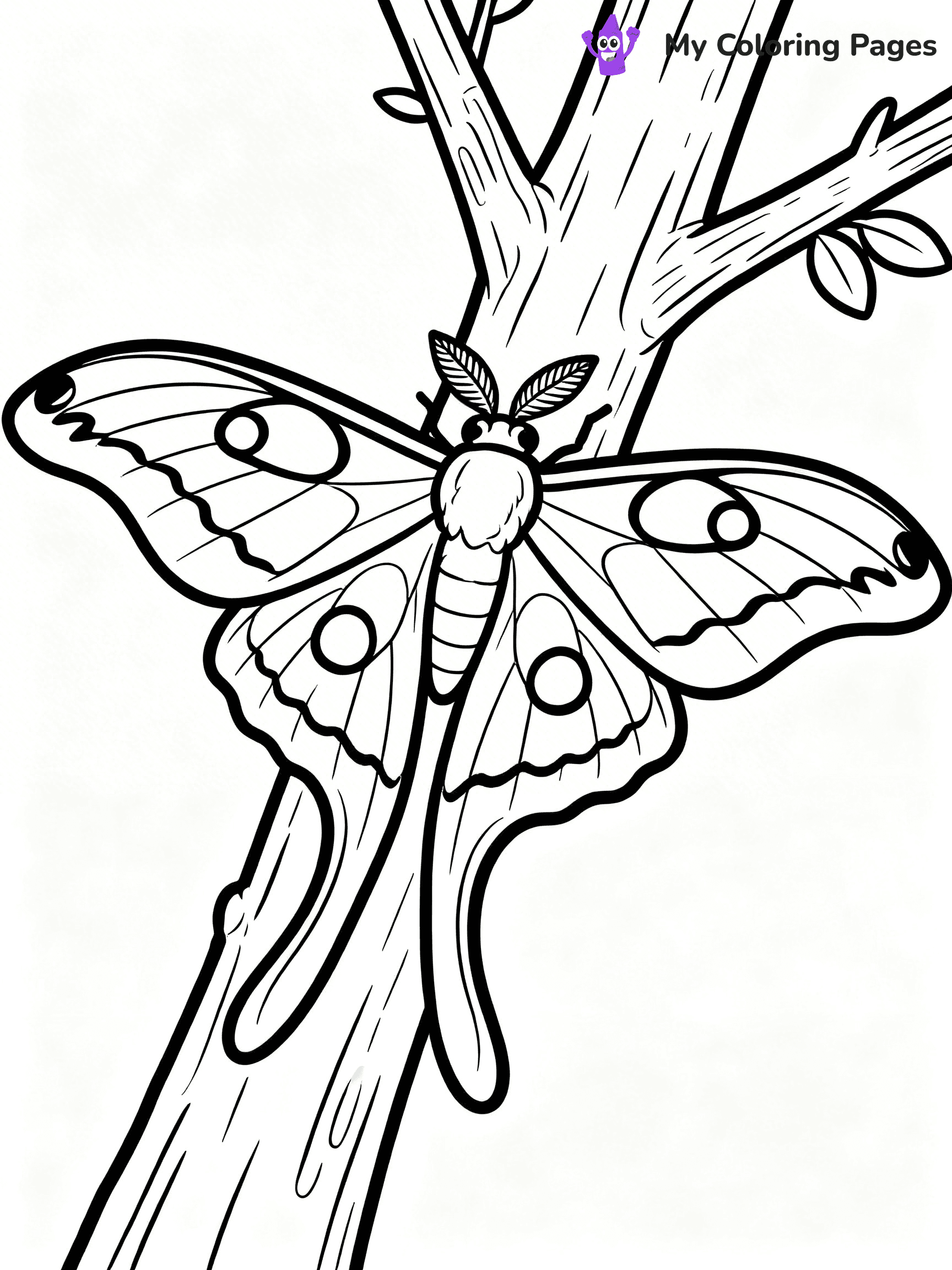 Moth Coloring Pages - 35