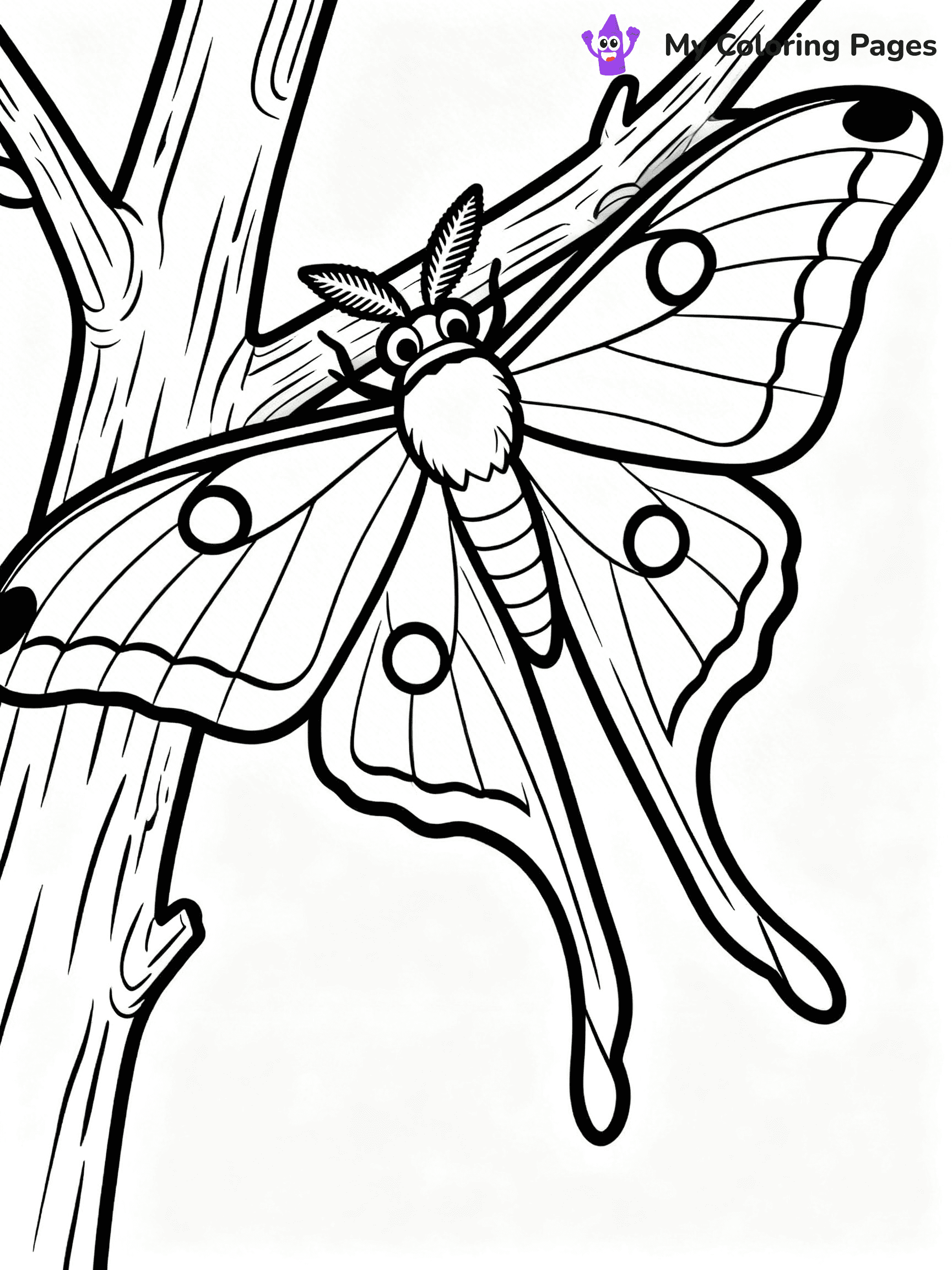 Moth Coloring Pages - 34
