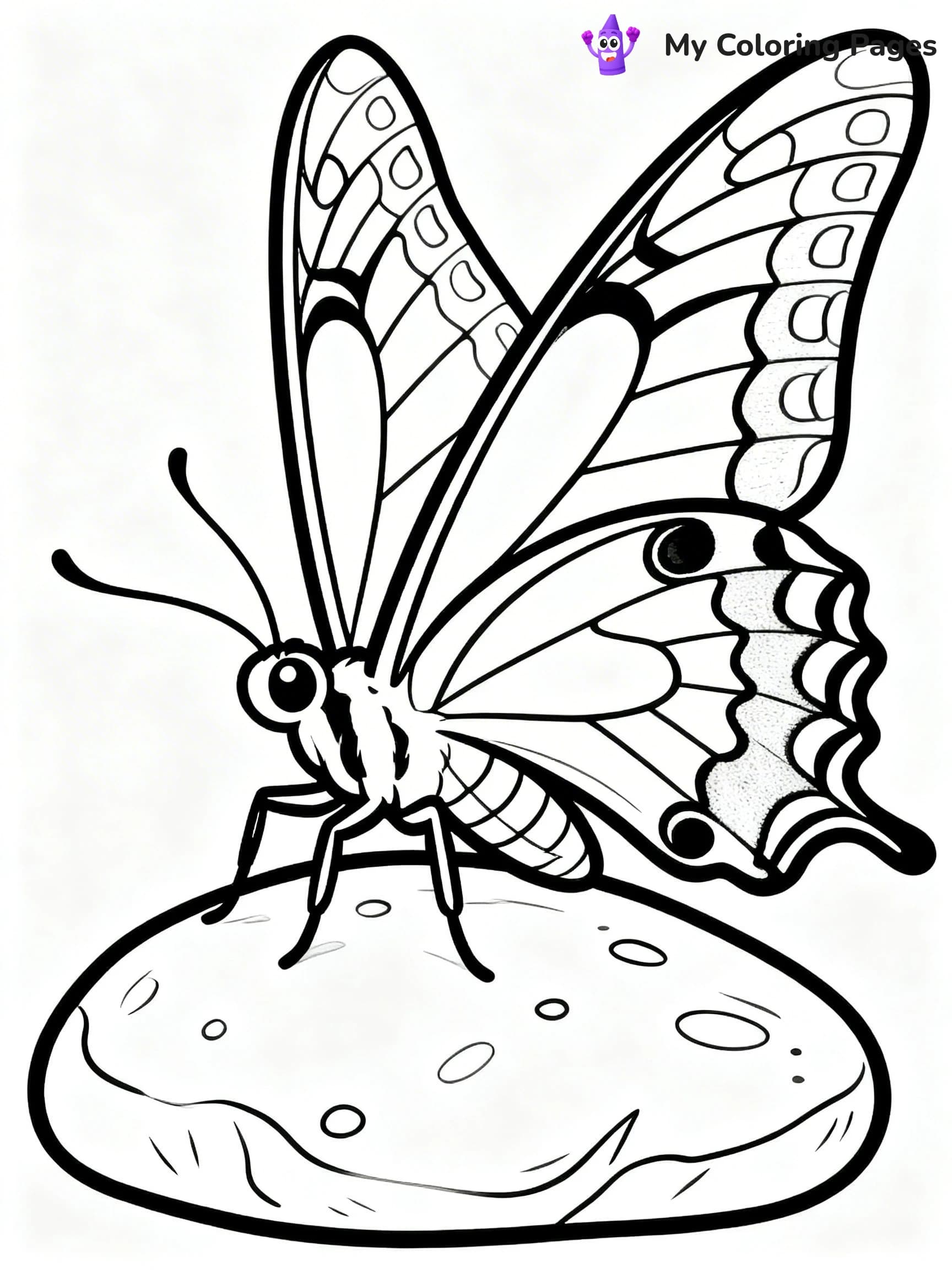 Moth Coloring Pages - 19