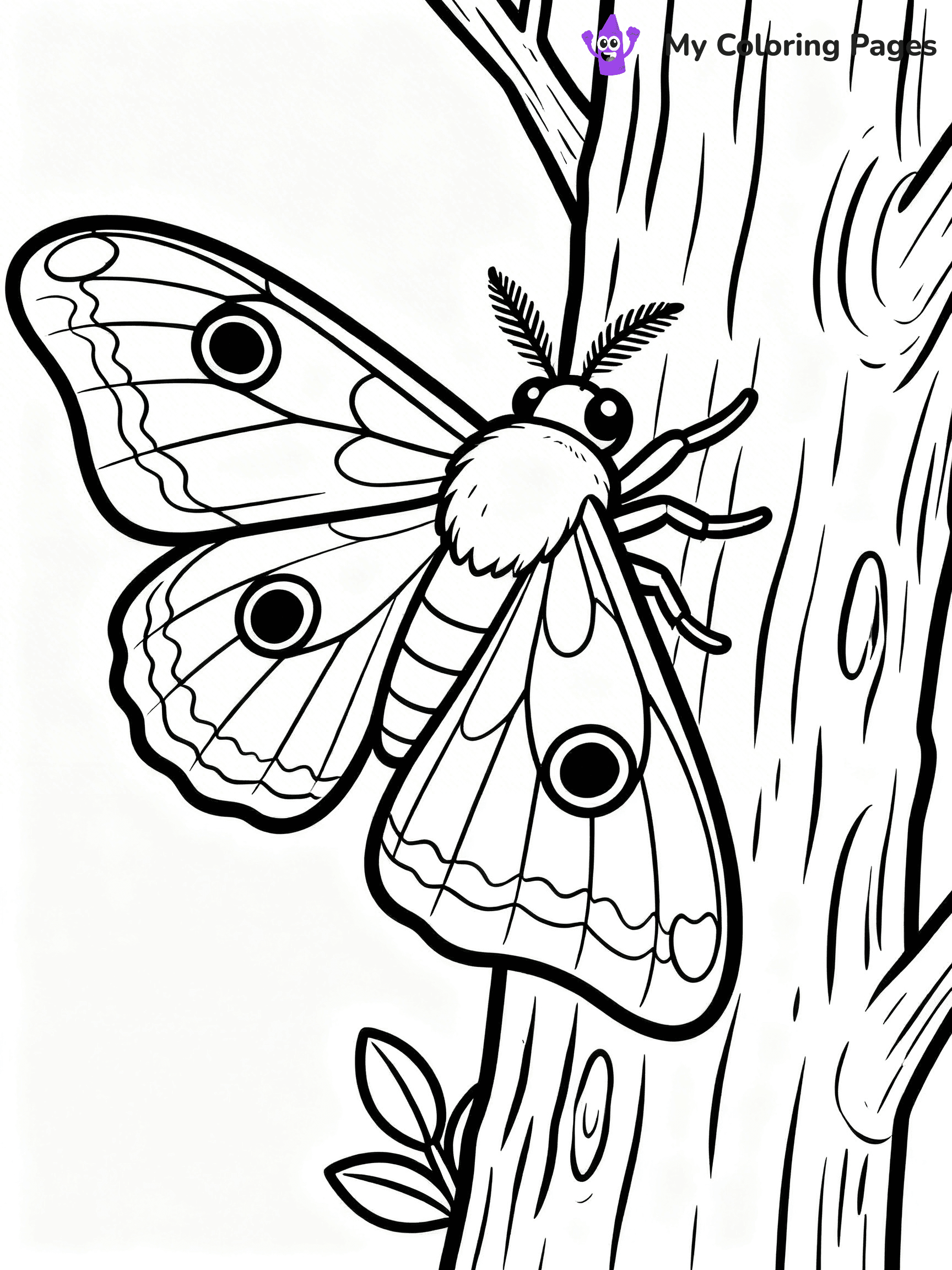 Moth Coloring Pages - 14