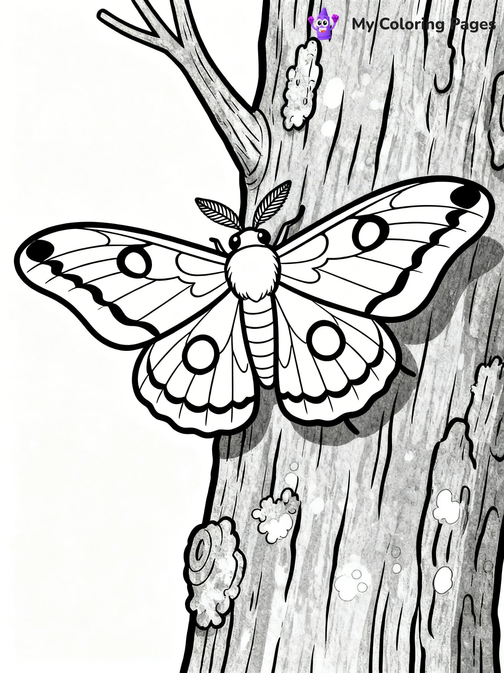 Moth Coloring Pages - 12