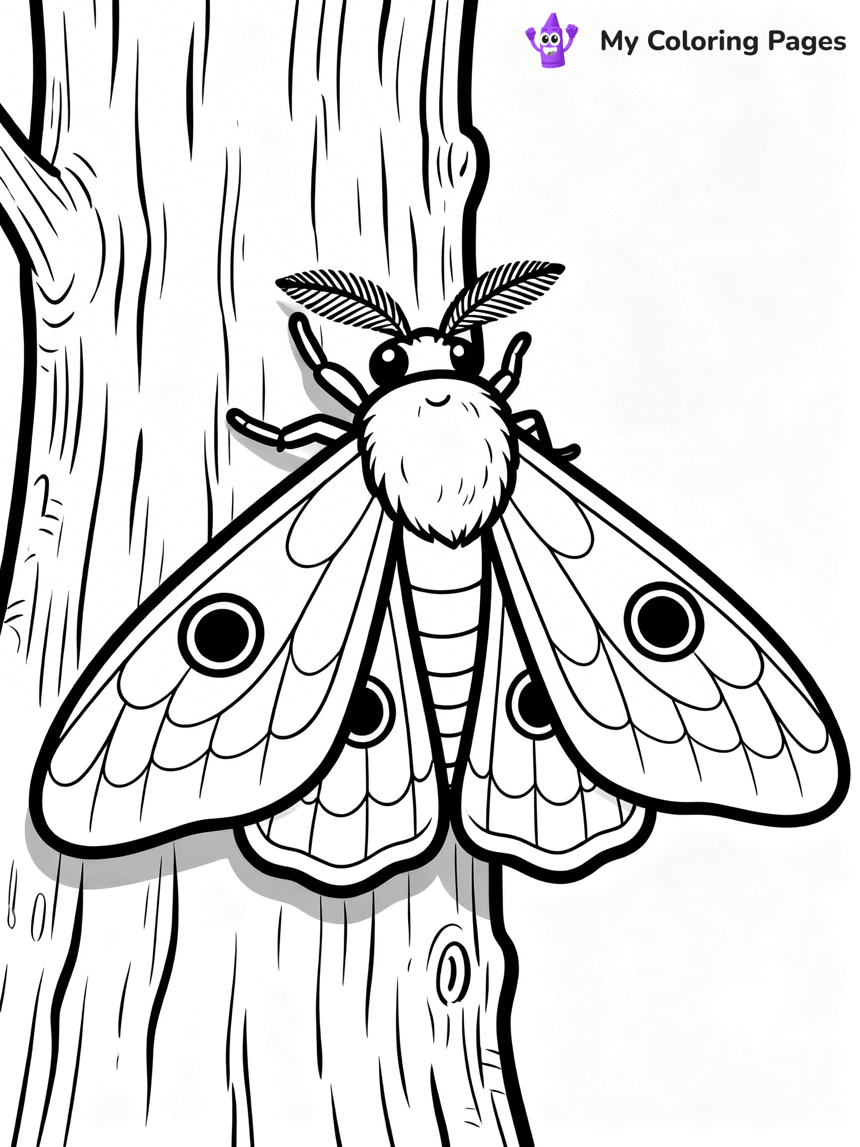 Moth Coloring Pages - 11