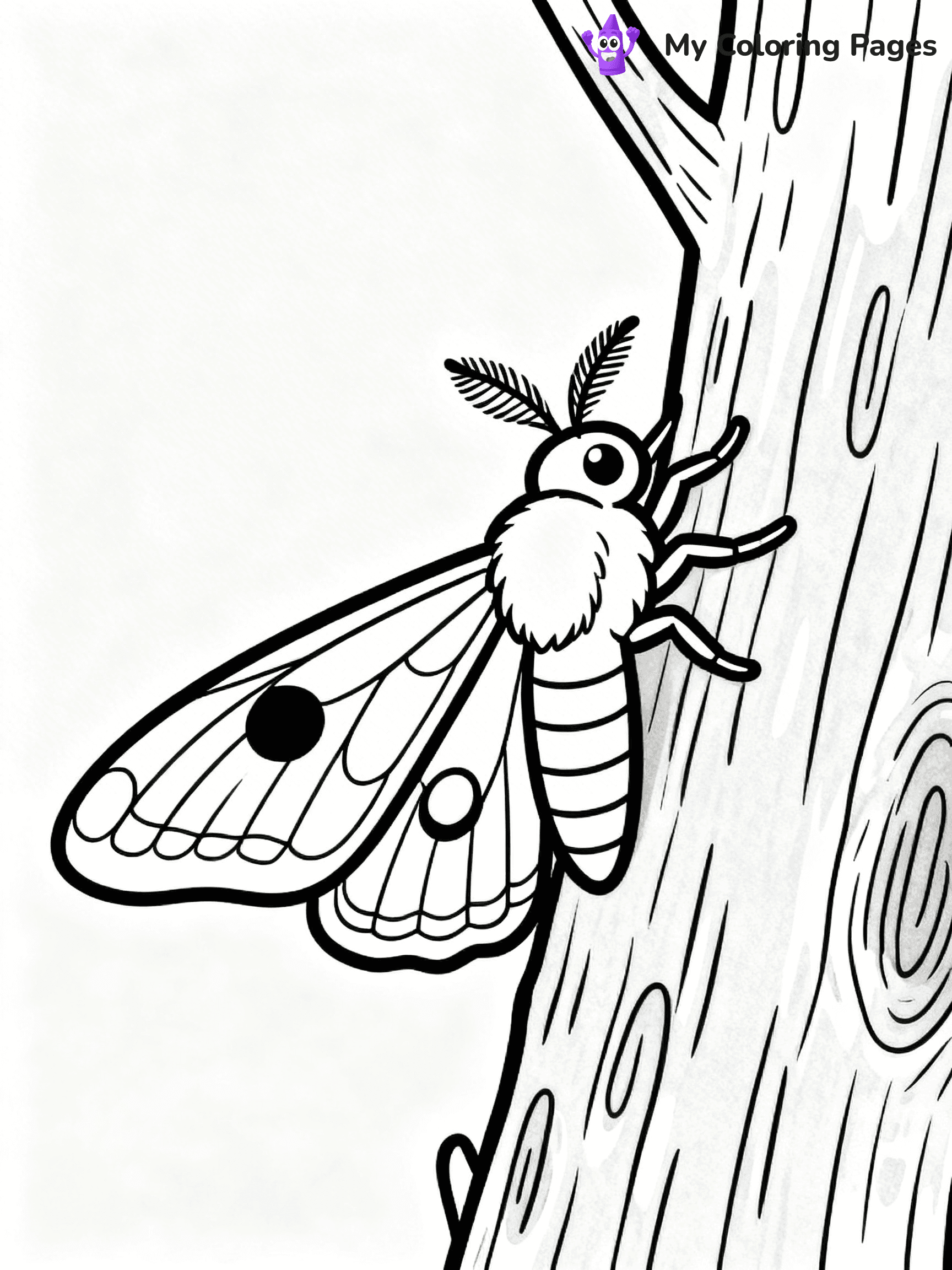 Moth Coloring Pages - 9