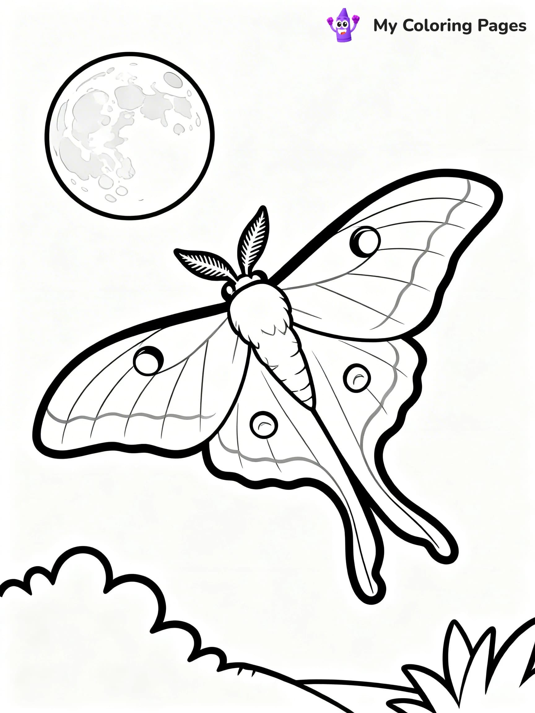 Moth Coloring Pages - 4