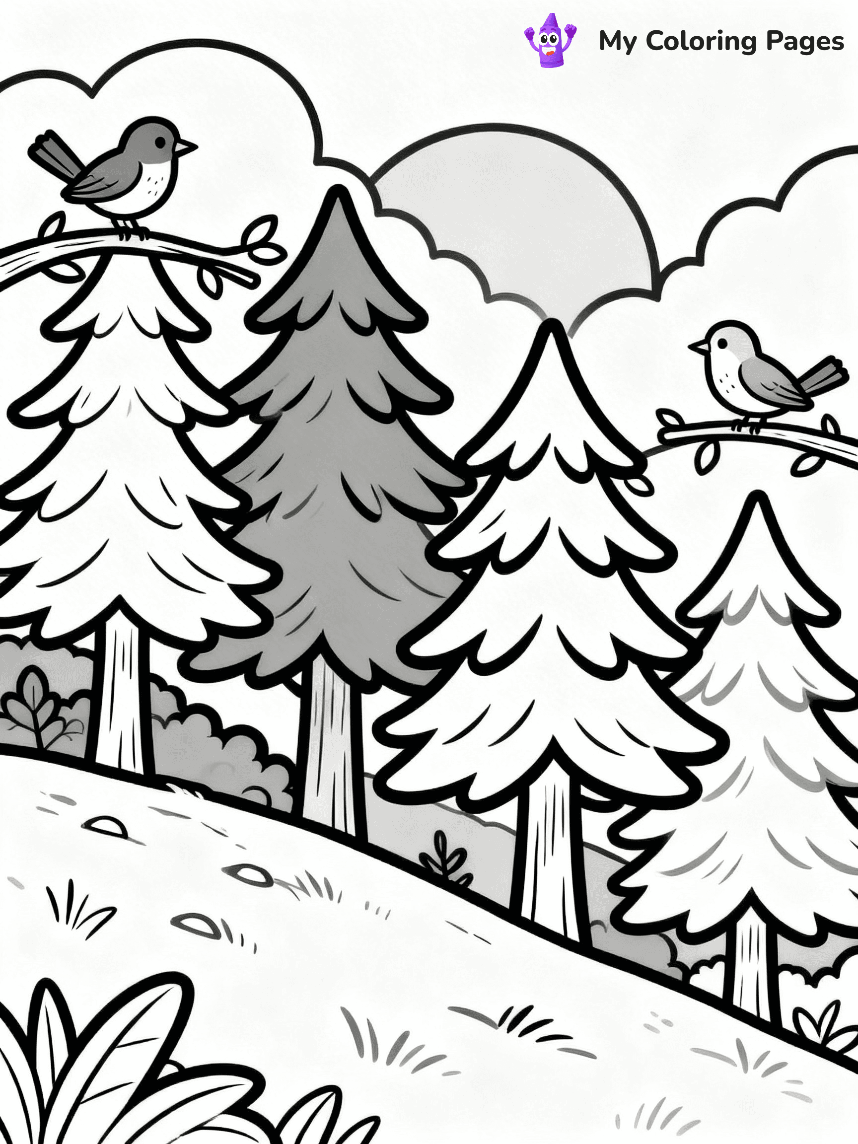 Pine Tree Coloring Pages - 95