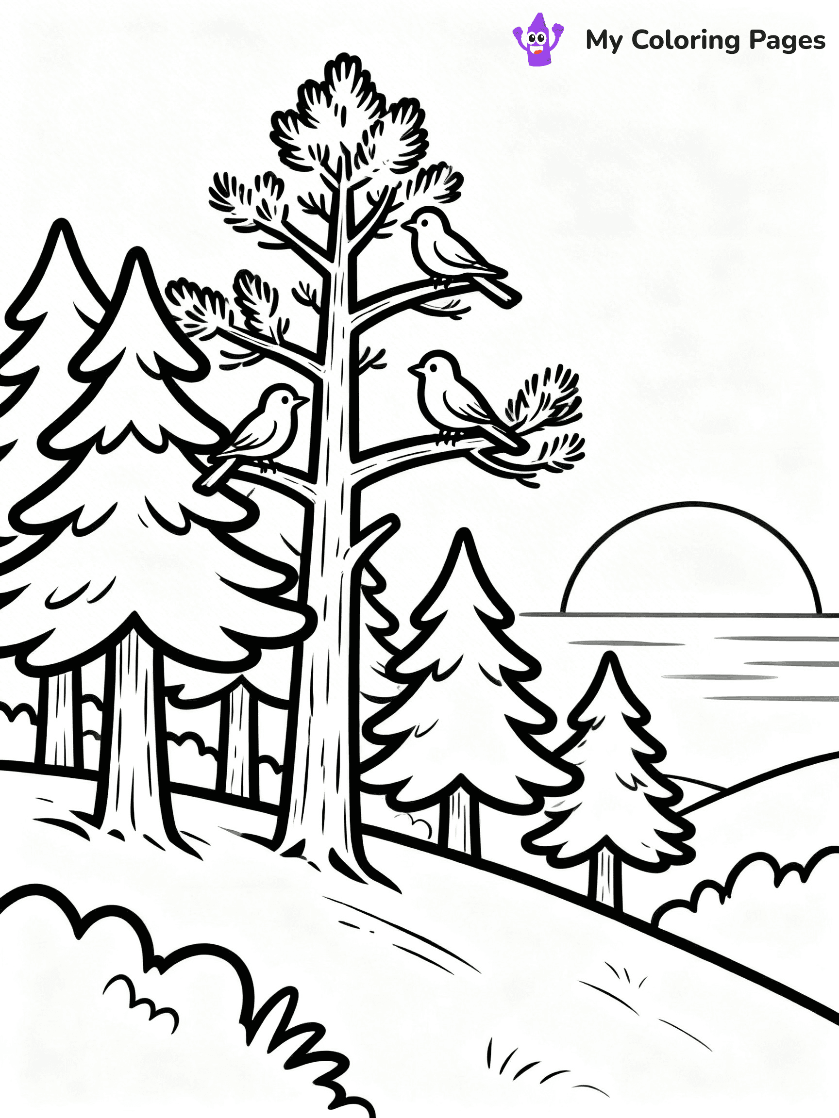 Pine Tree Coloring Pages - 94