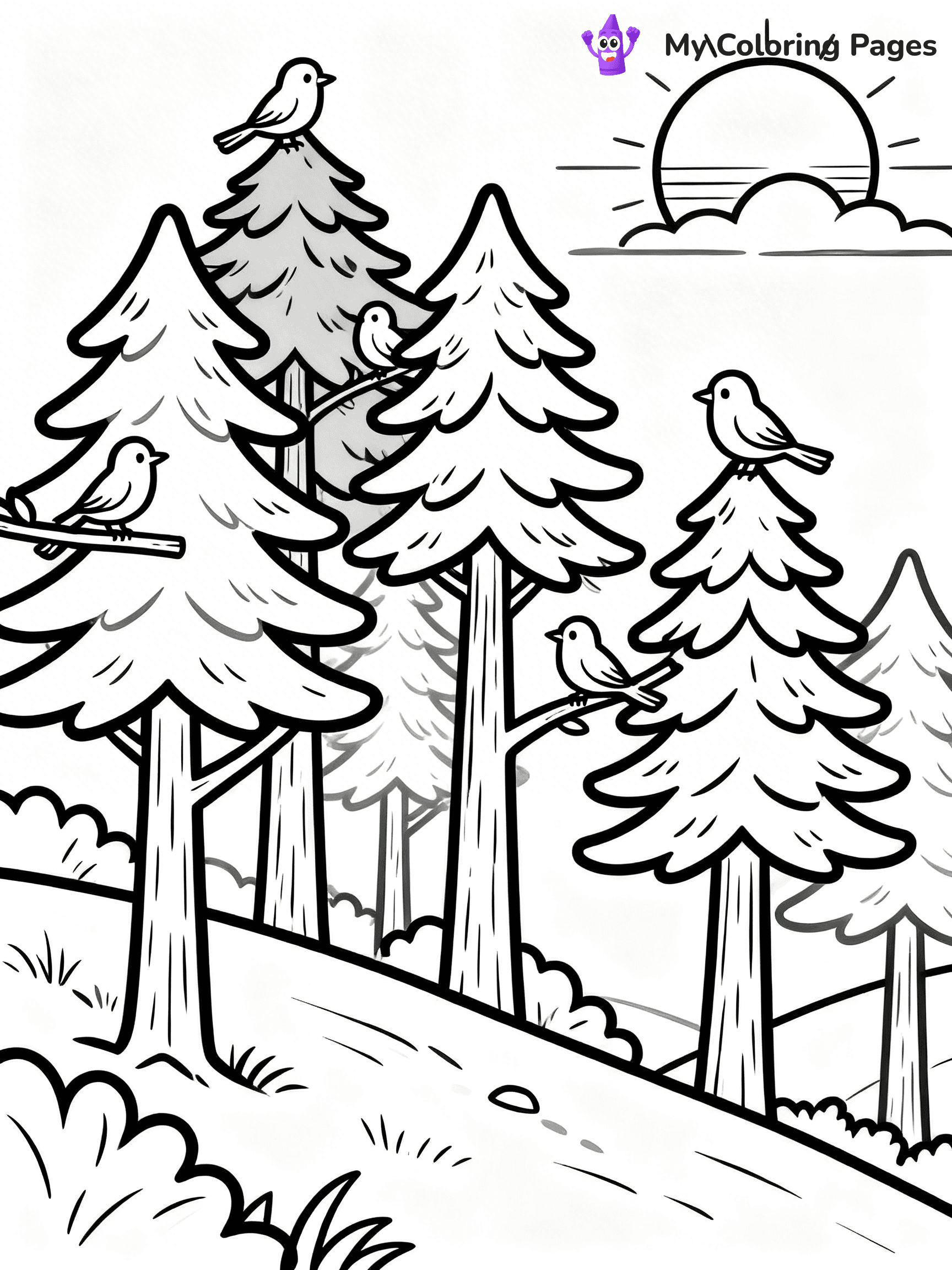 Pine Tree Coloring Pages - 93