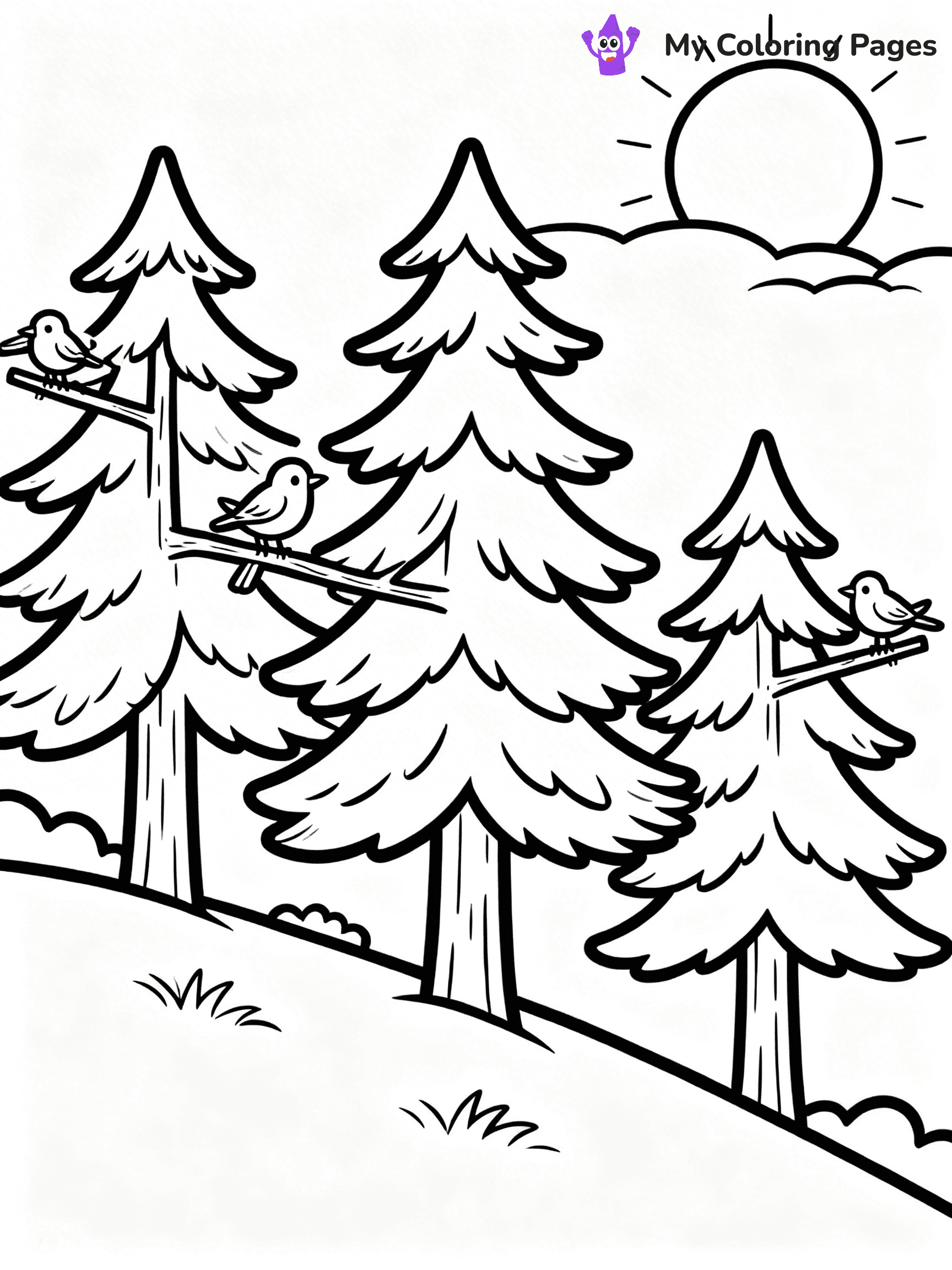 Pine Tree Coloring Pages - 92