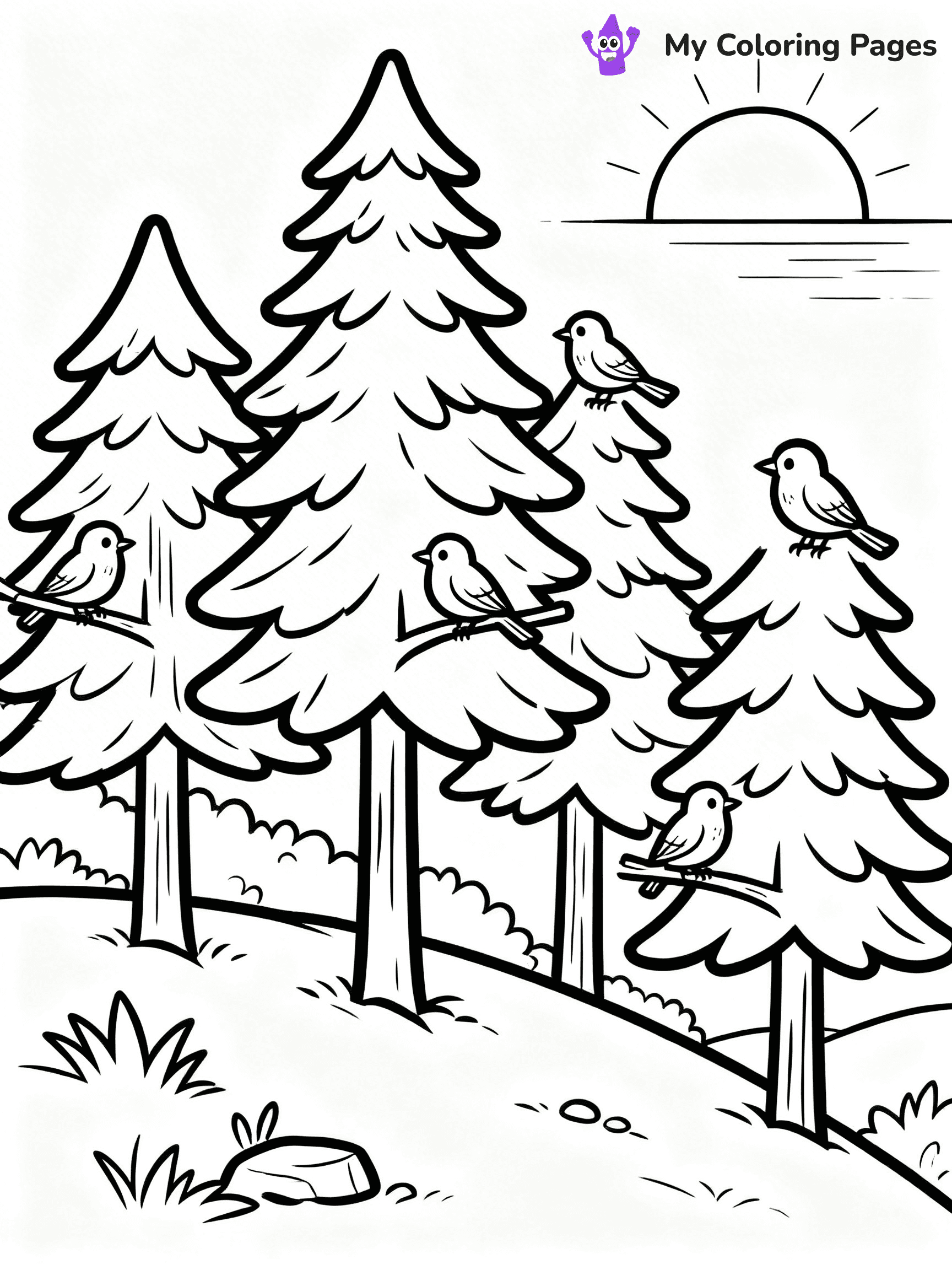 Pine Tree Coloring Pages - 91