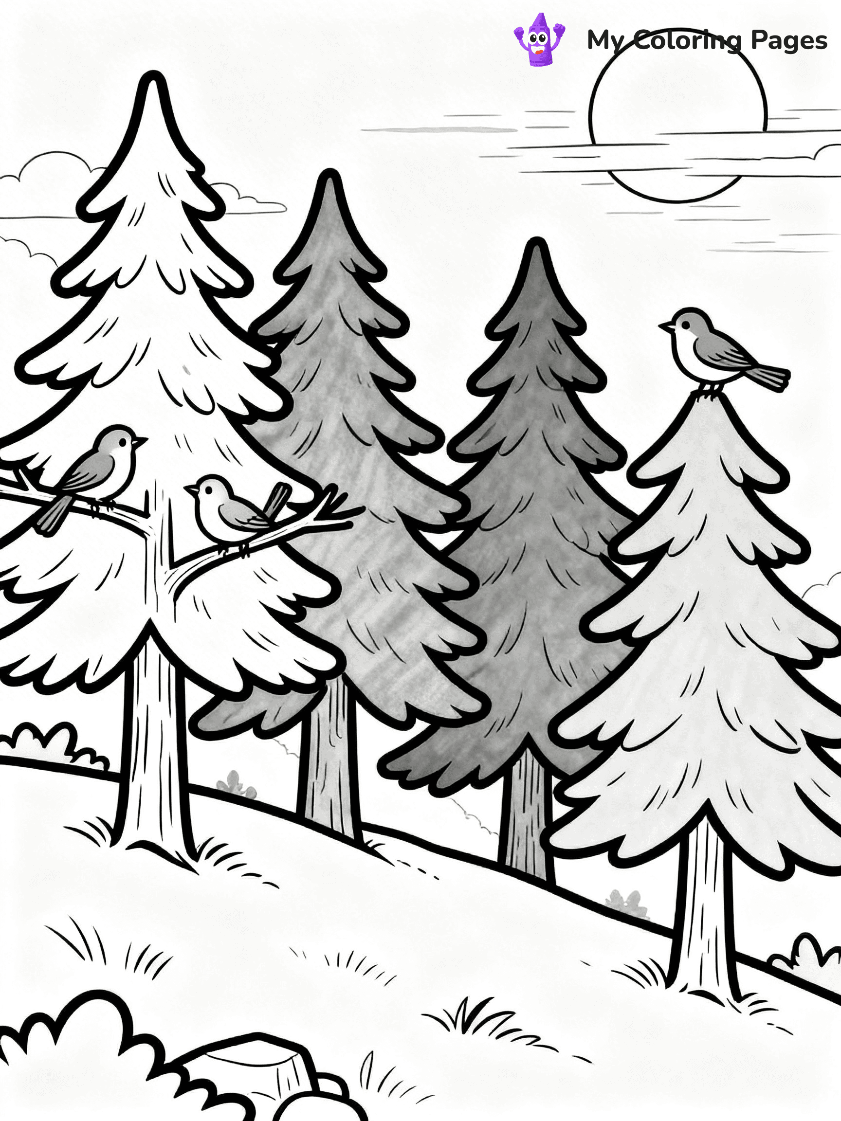 Pine Tree Coloring Pages - 90