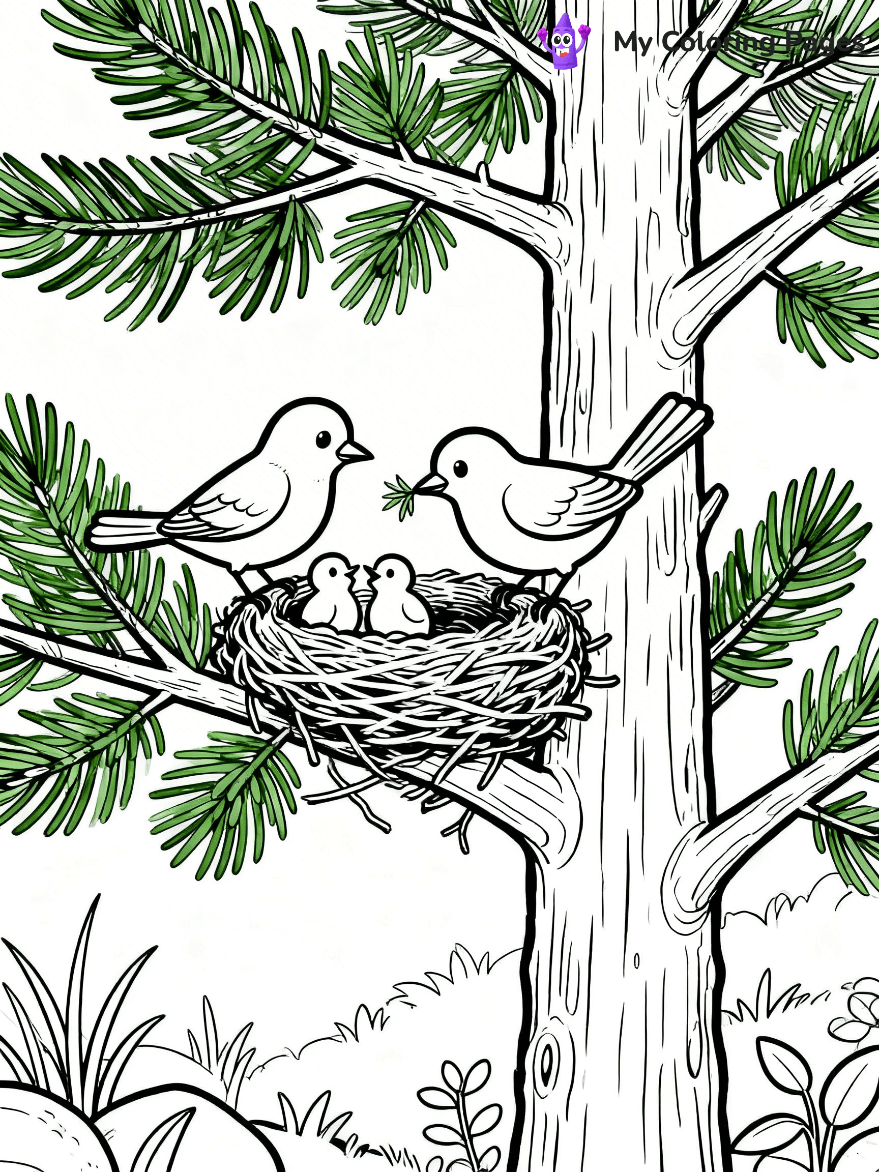 Pine Tree Coloring Pages - 48
