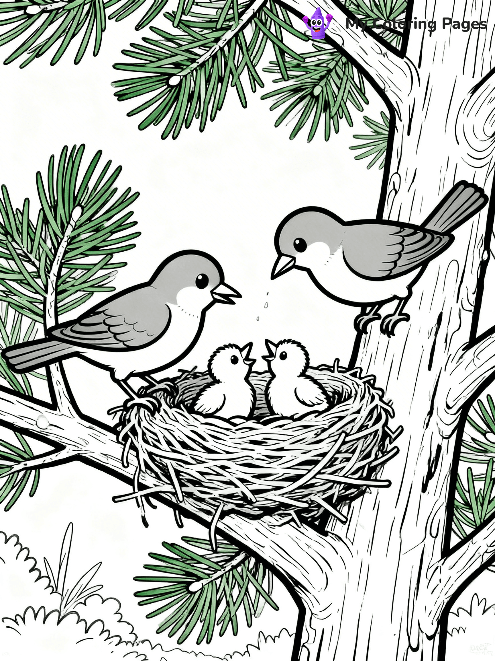 Pine Tree Coloring Pages - 47