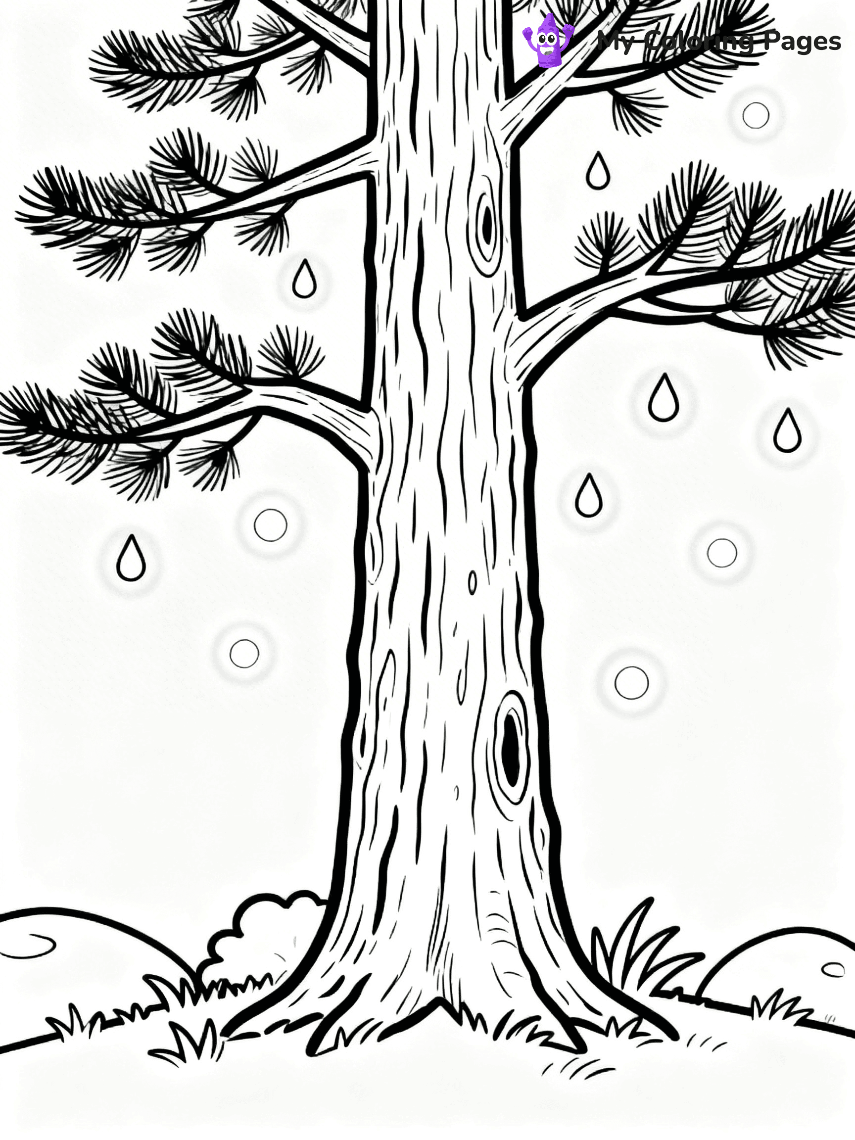 Pine Tree Coloring Pages - 6