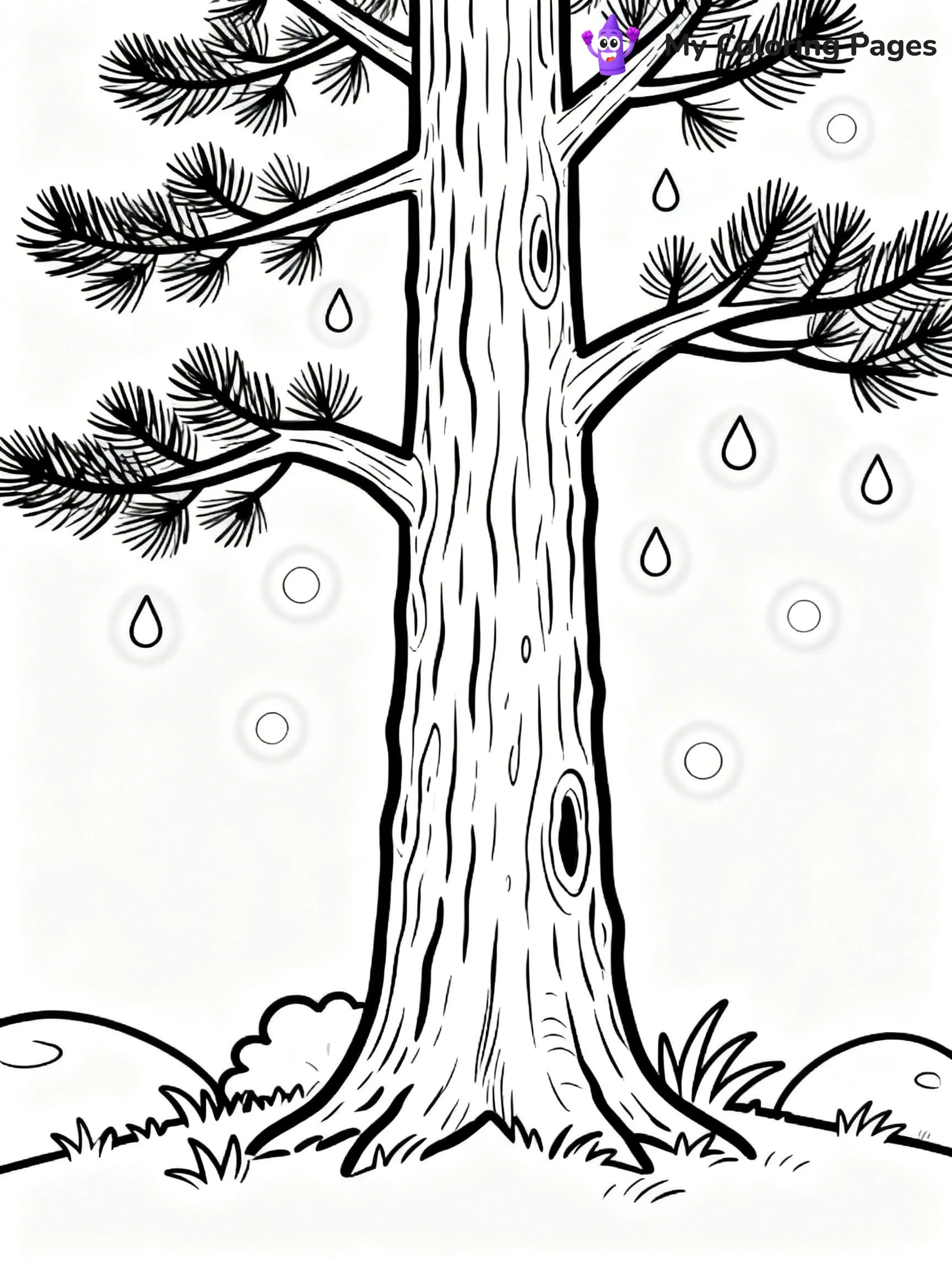 Pine Tree Coloring Pages - 6