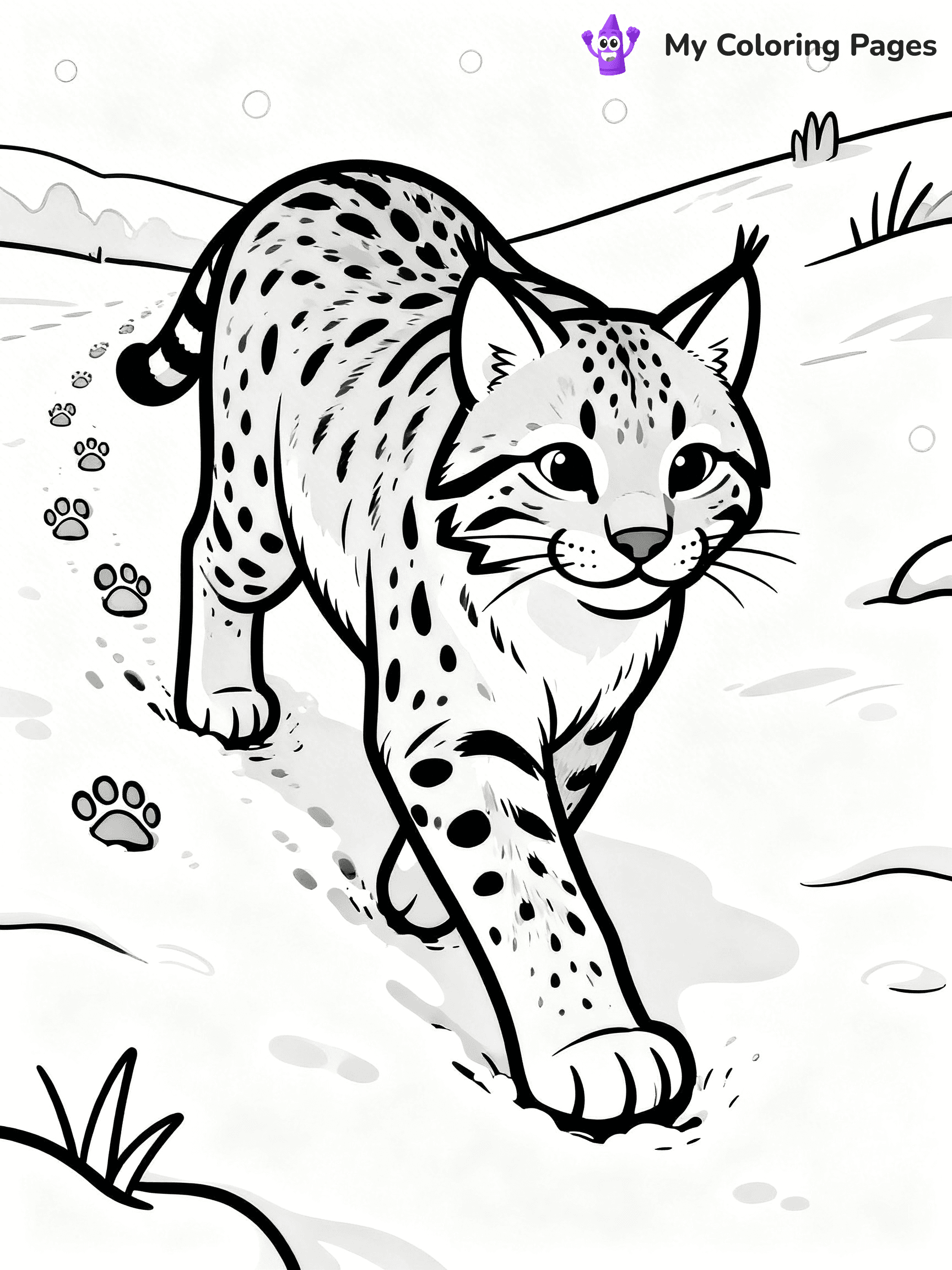 Bobcat Coloring Pages - 3
