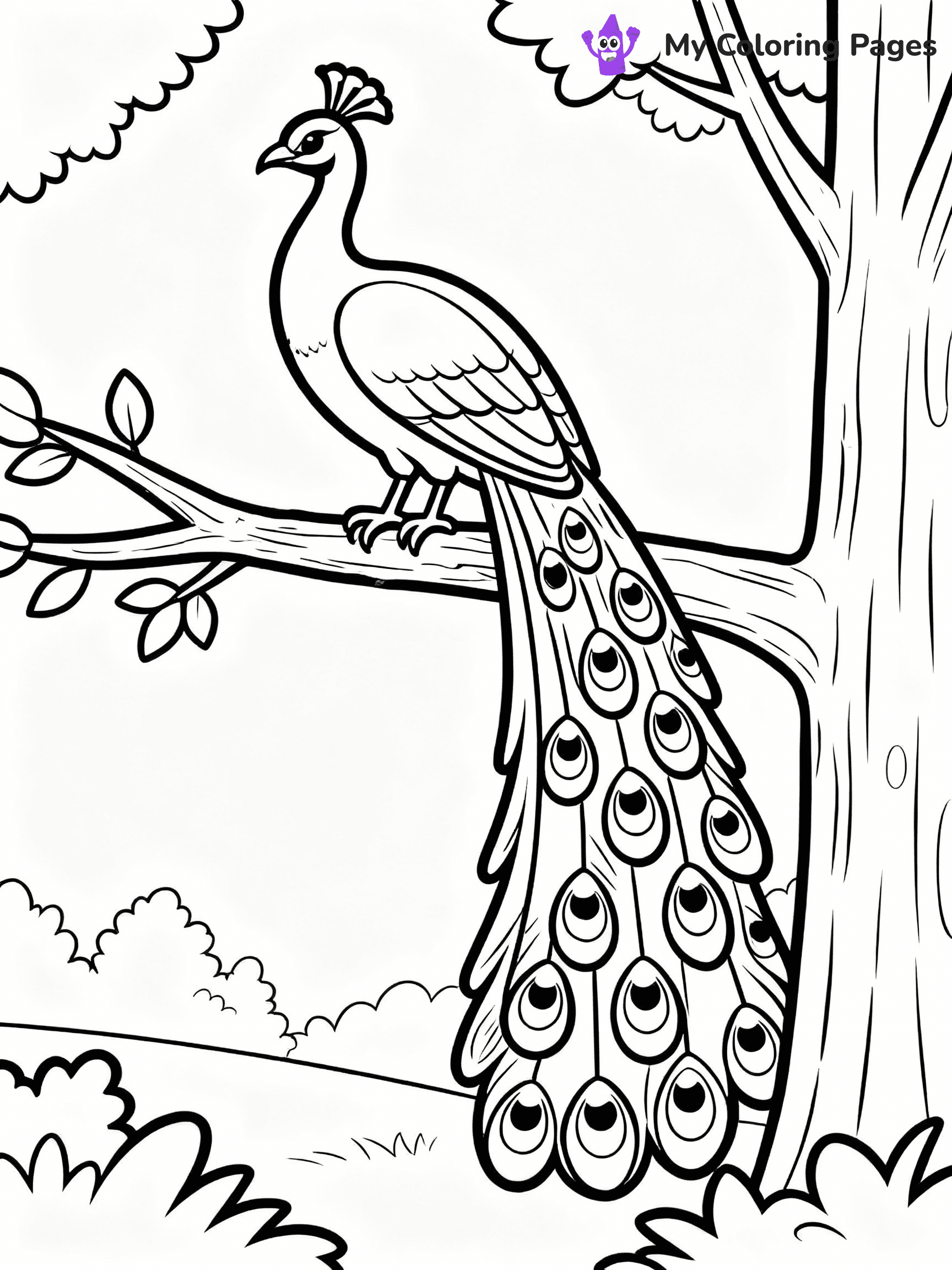 Peacock Coloring Pages - 12