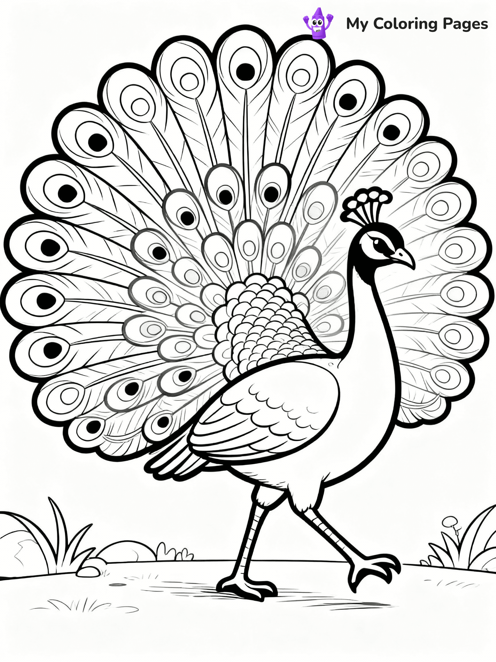 Peacock Coloring Pages - 4