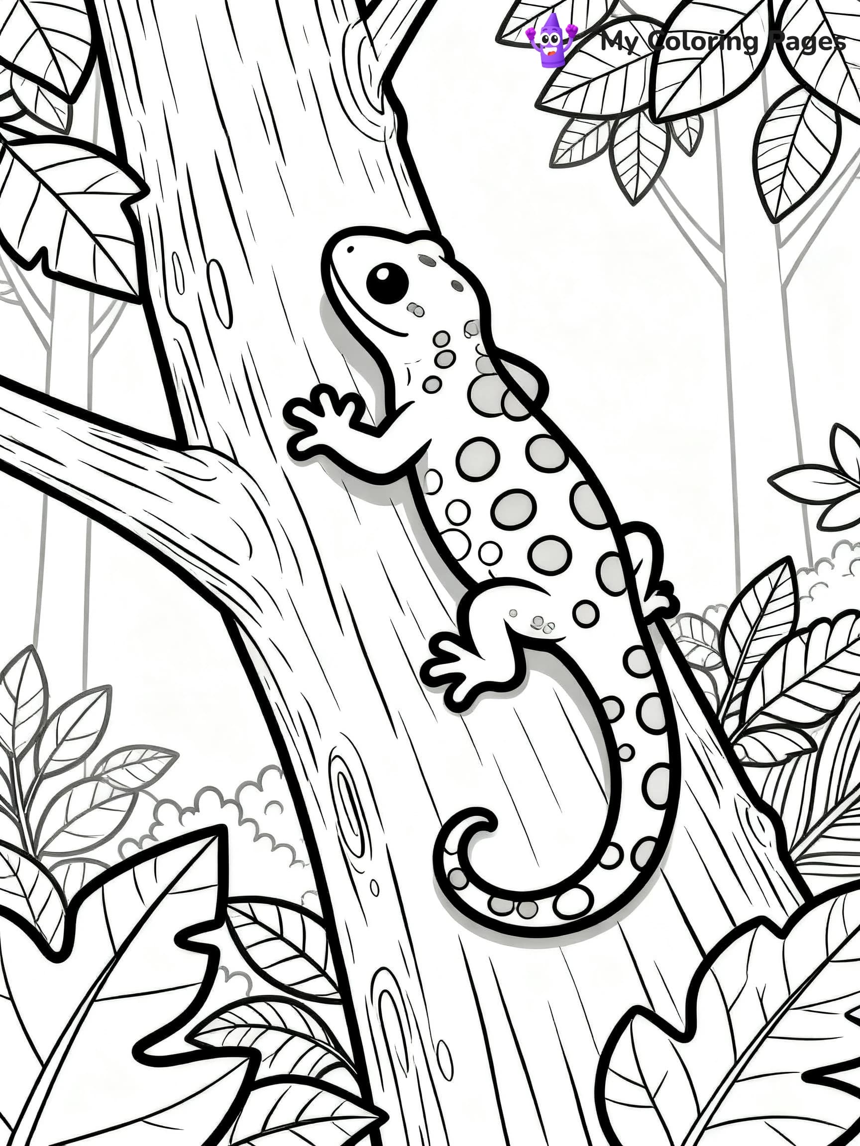 Salamander Coloring Pages - 19