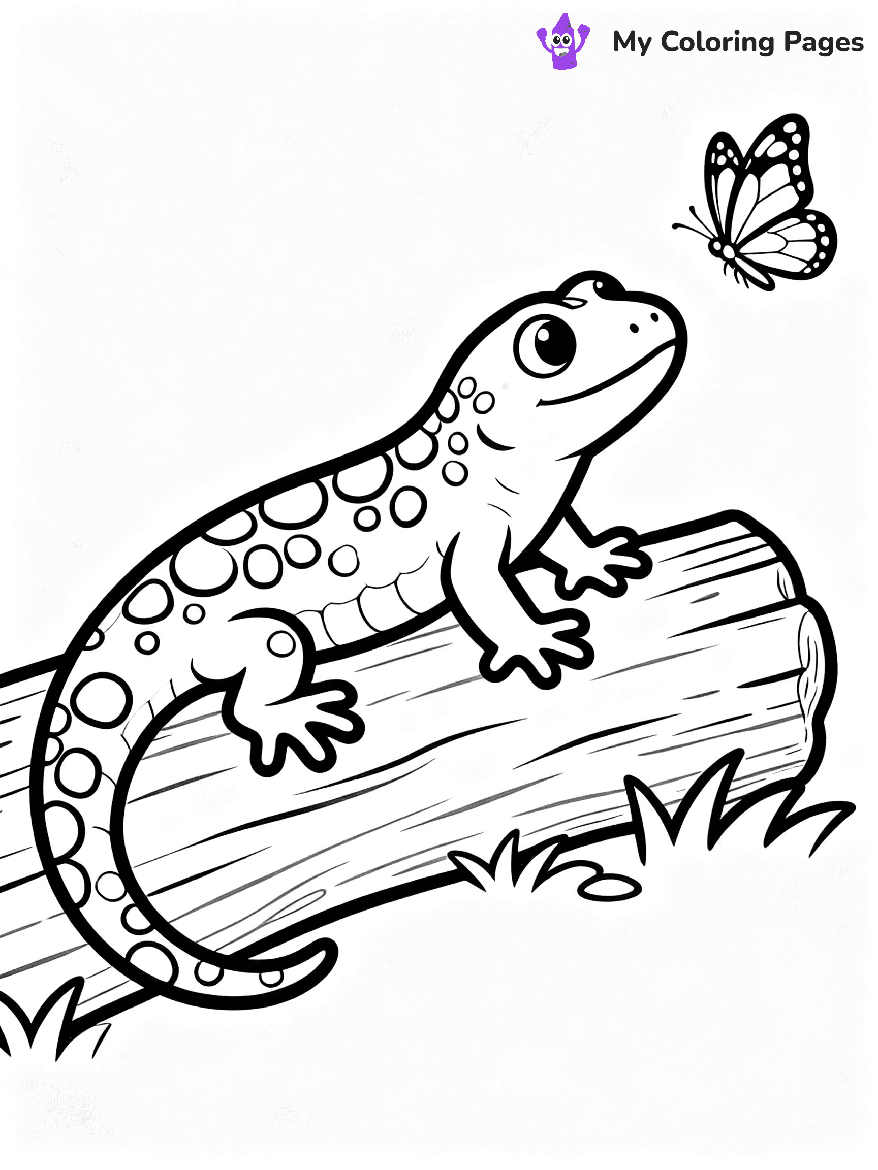 Salamander Coloring Pages - 12
