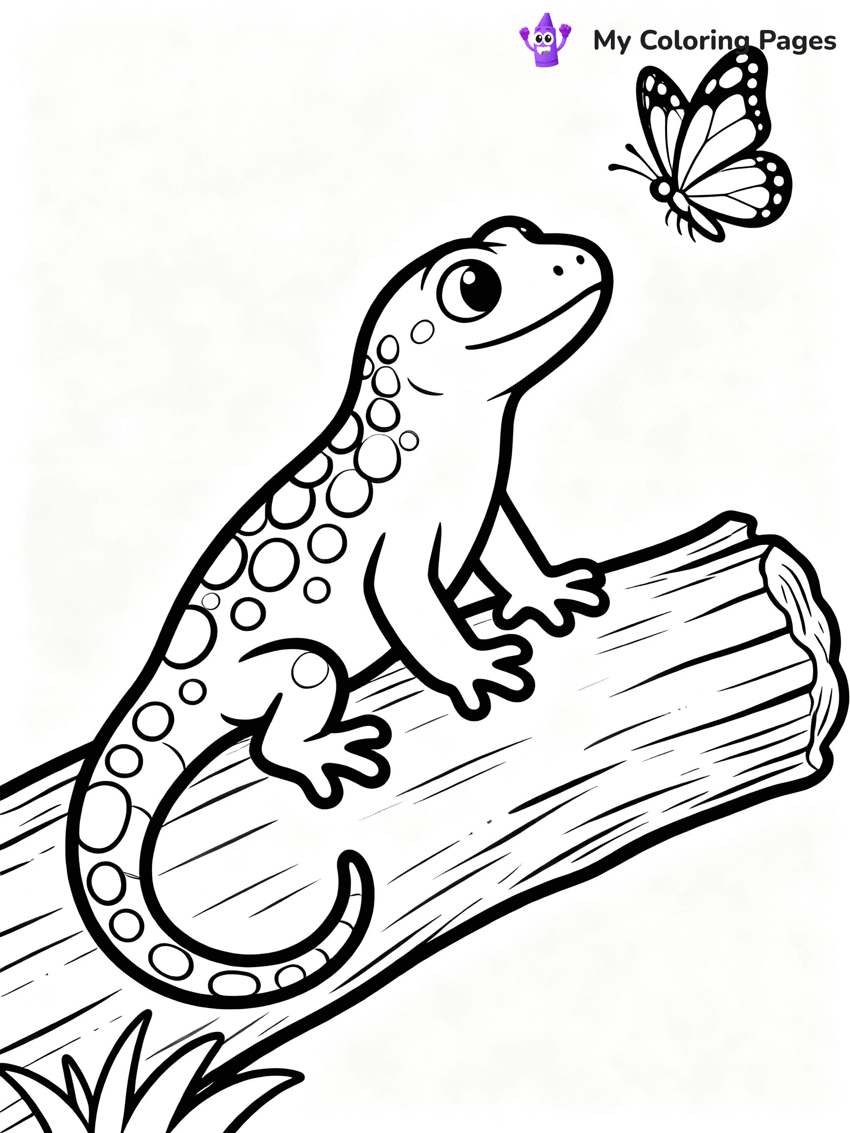 Salamander Coloring Pages - 9
