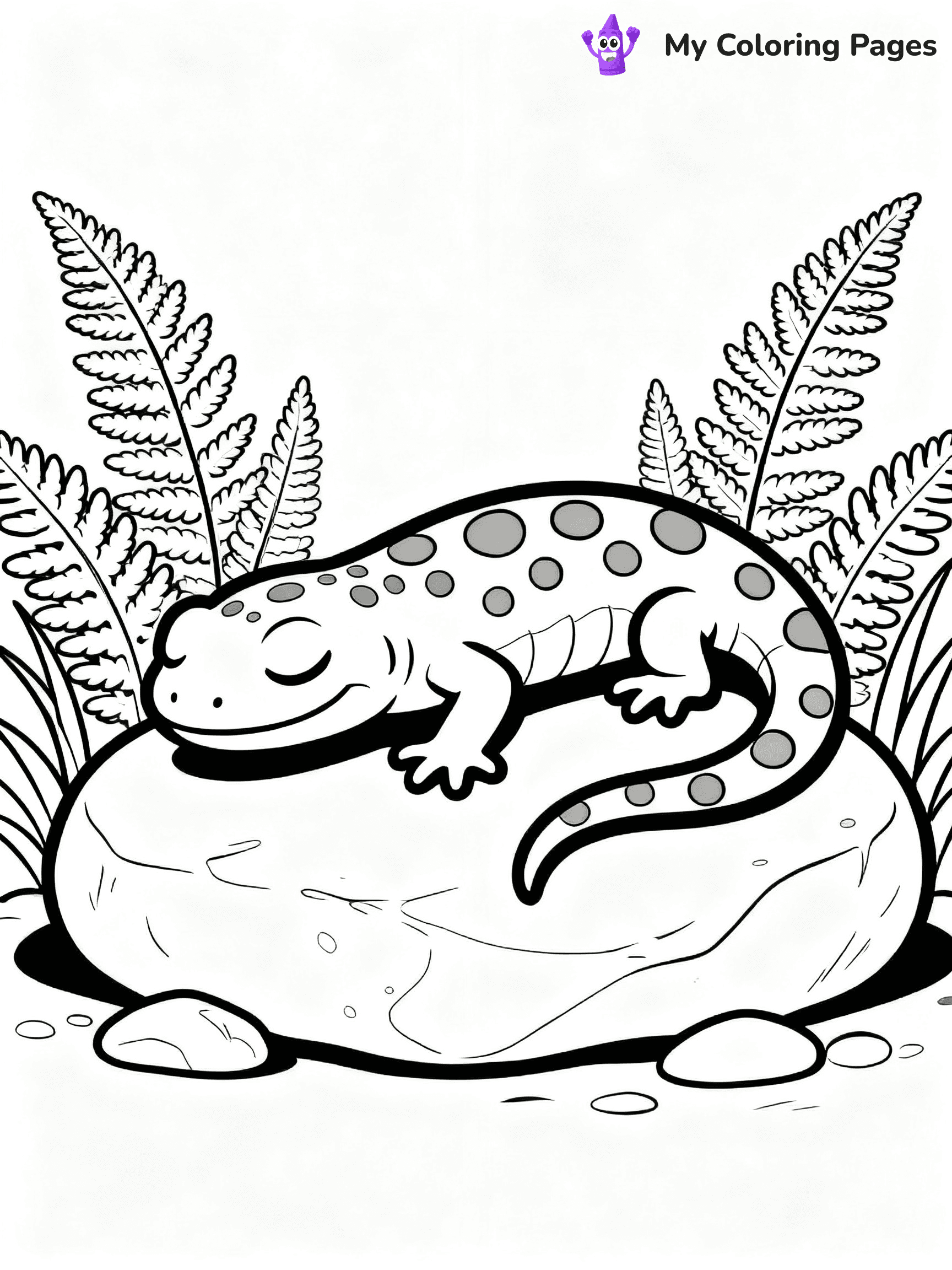 Salamander Coloring Pages - 6