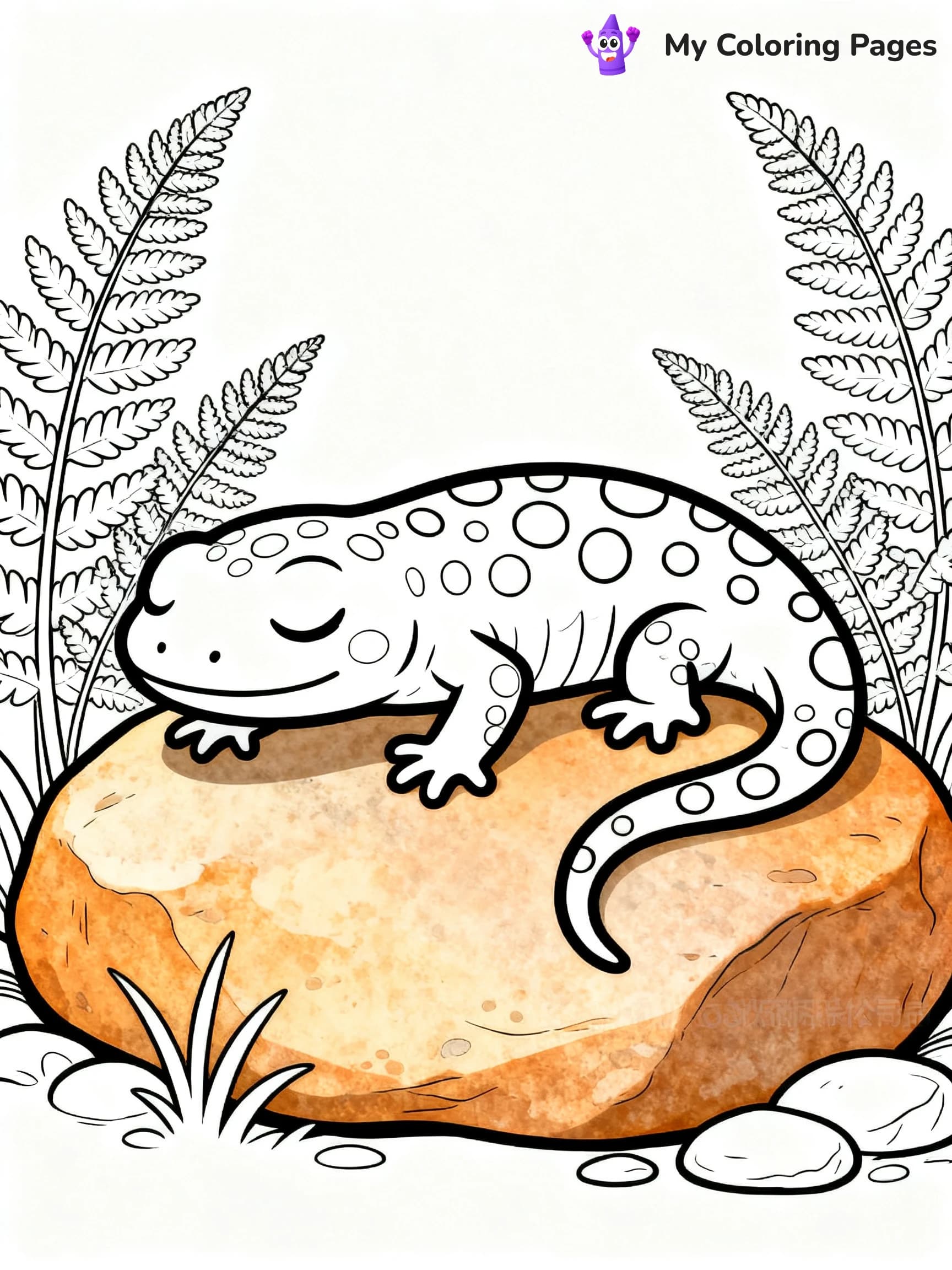 Salamander Coloring Pages - 4